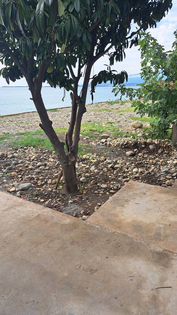 Фото Старик и море