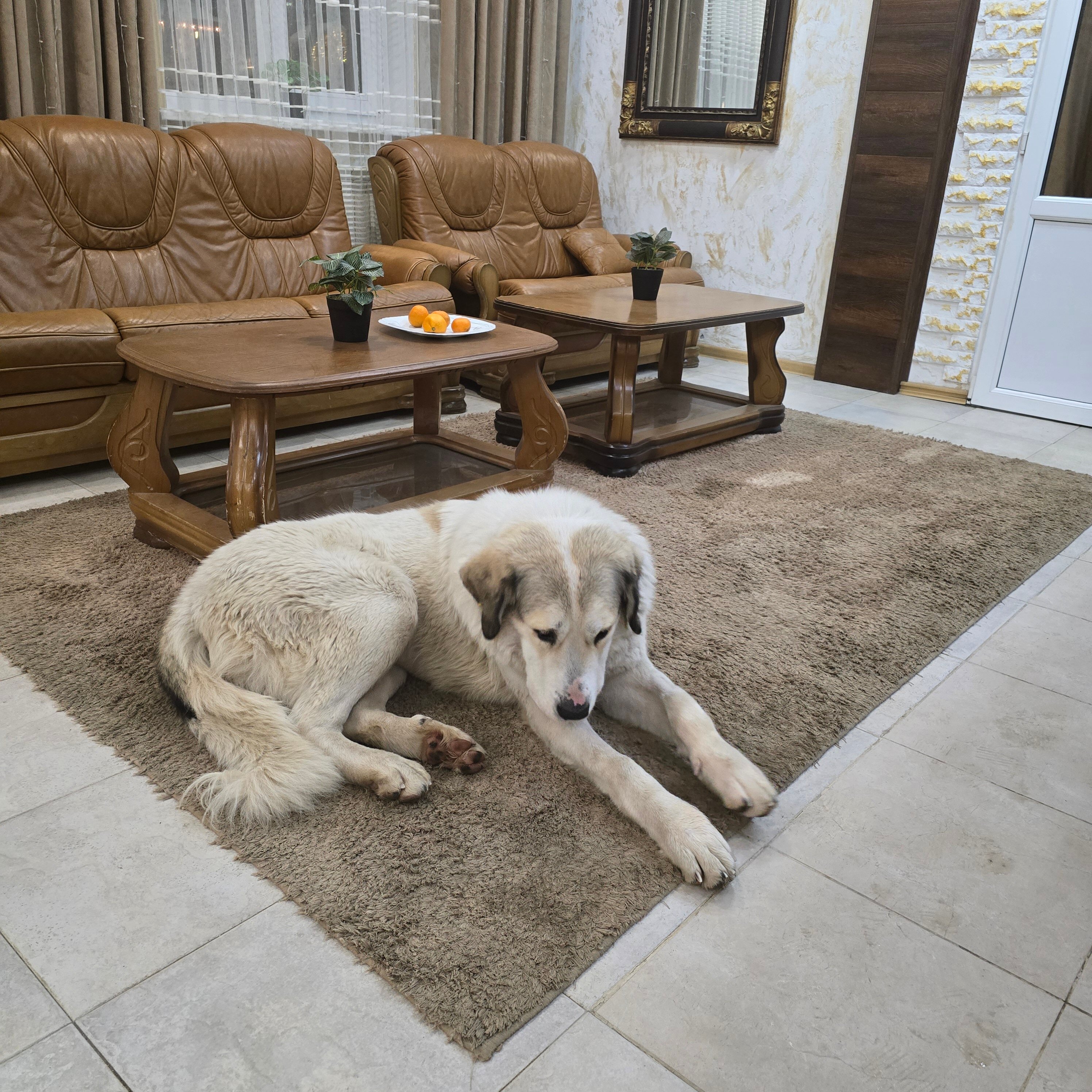 Фото Снежная королева