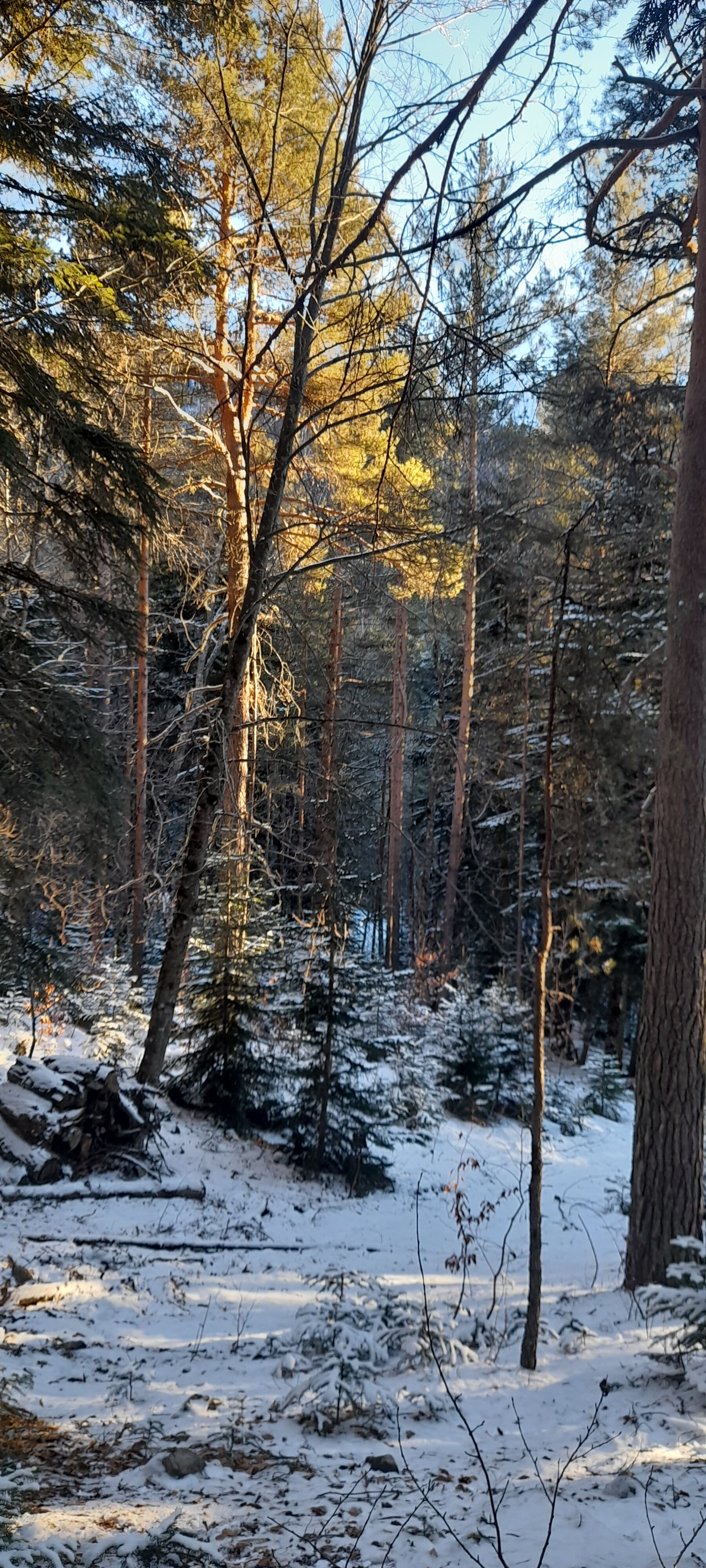 Фото Гринвальд 1474