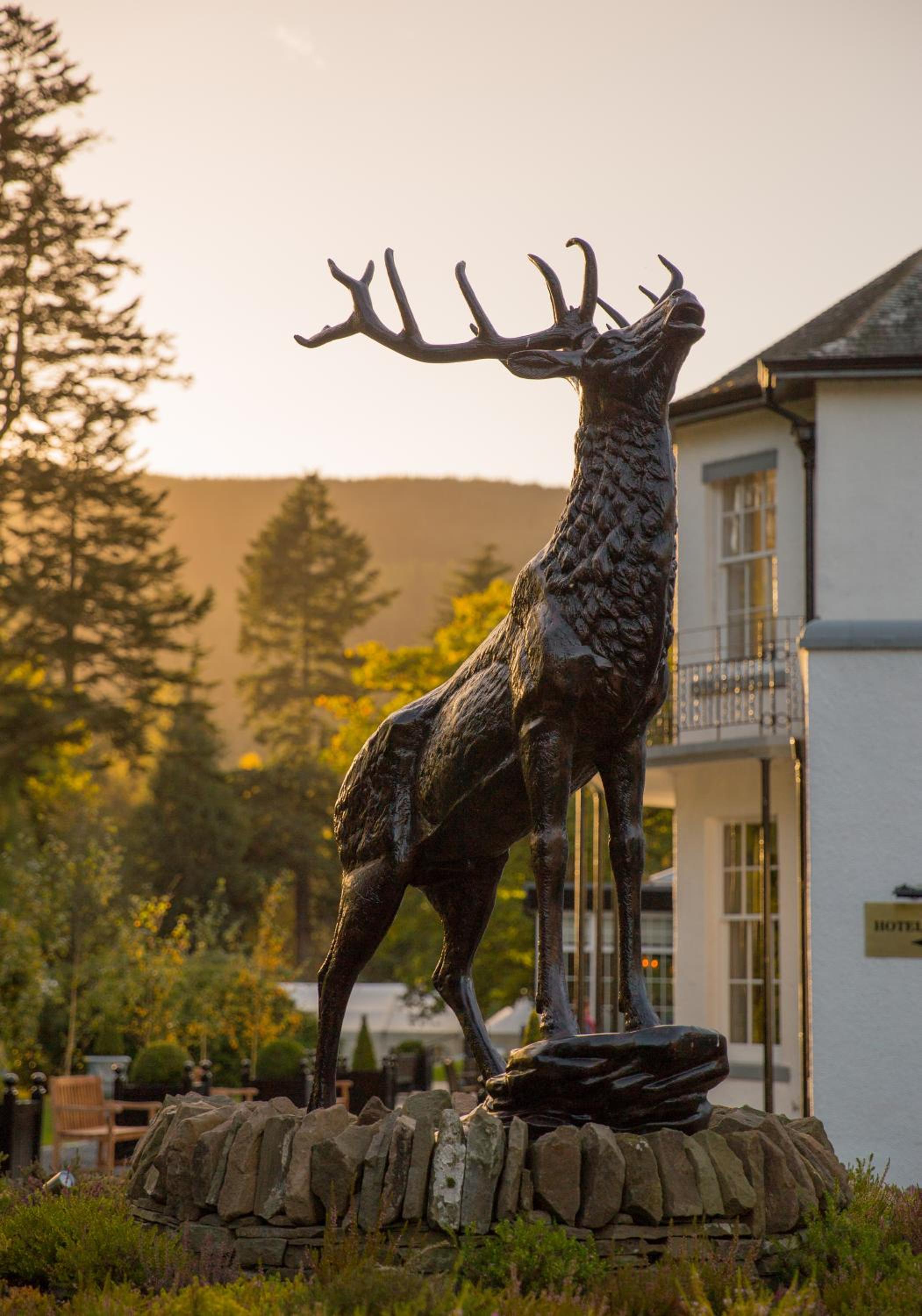Фото Dunkeld House Hotel