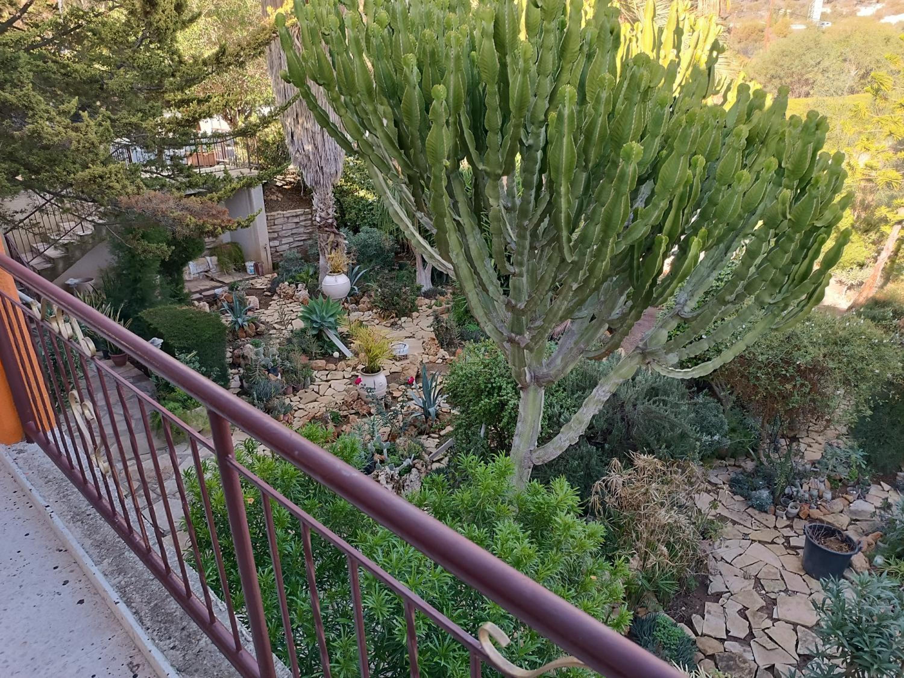 Фото Rantzo Holiday Apartments