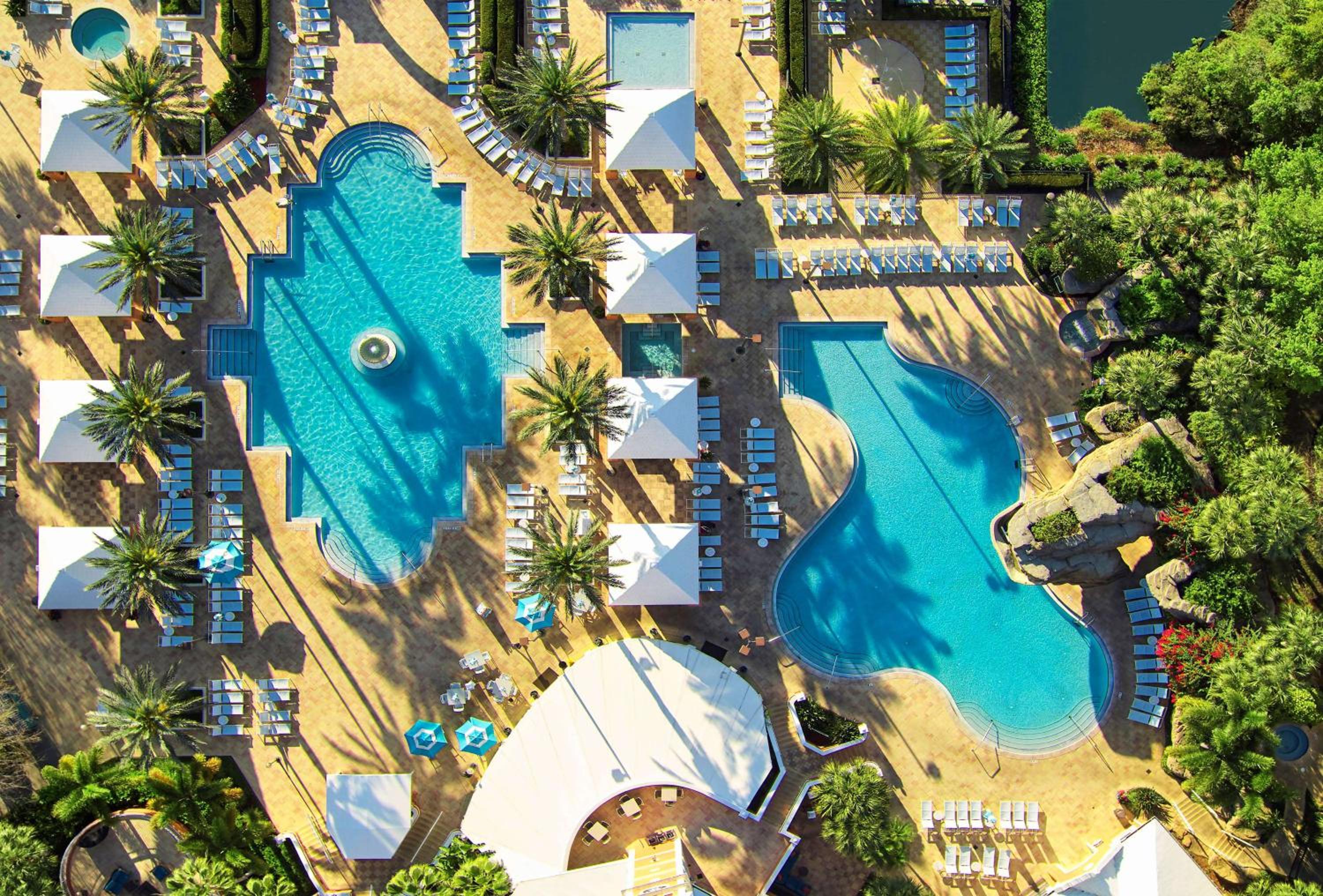 Фото Hilton Grand Vacations Club SeaWorld Orlando