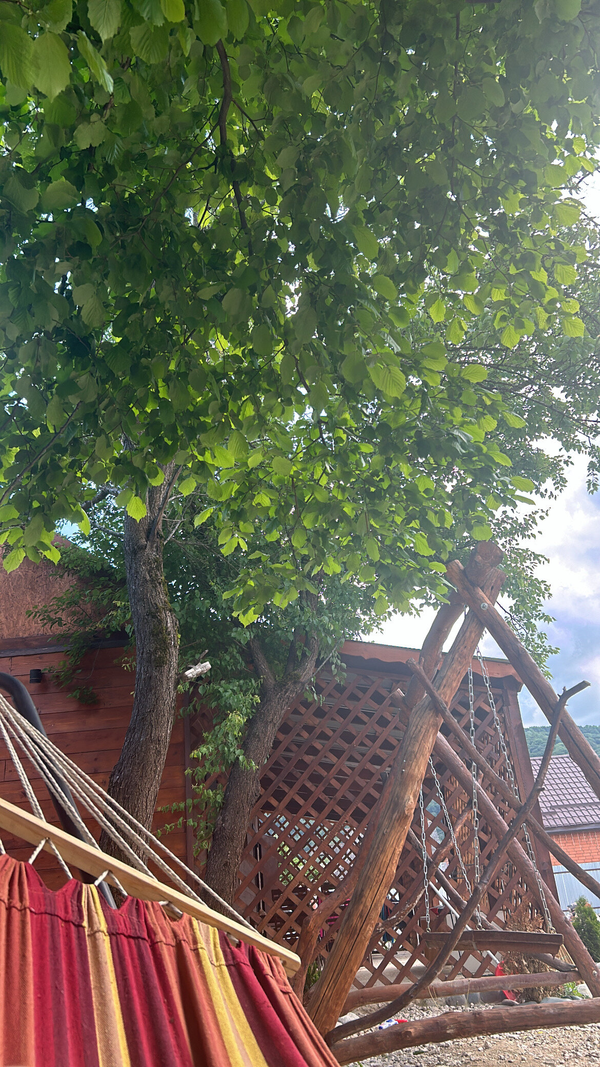 Фото Гостевые домики Три богатыря