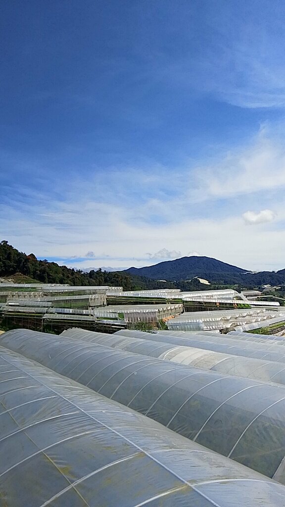 Mosque Masjid Lojing, State of Kelantan, photo