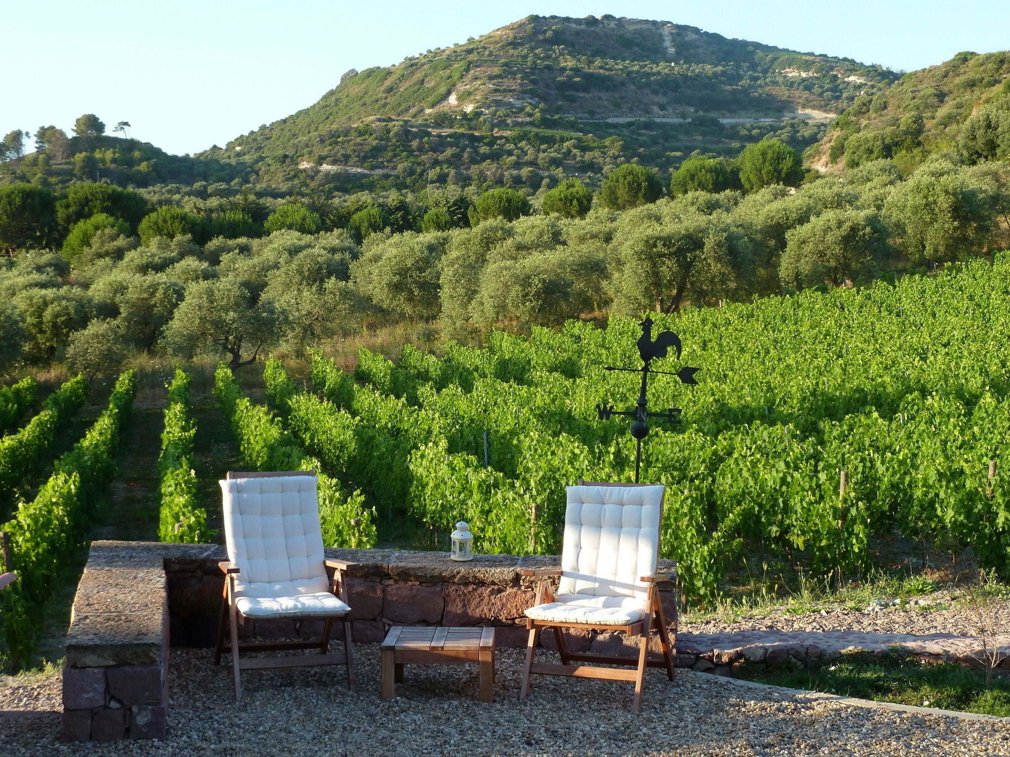 Фото B&b Pessighette Dimora di Campagna