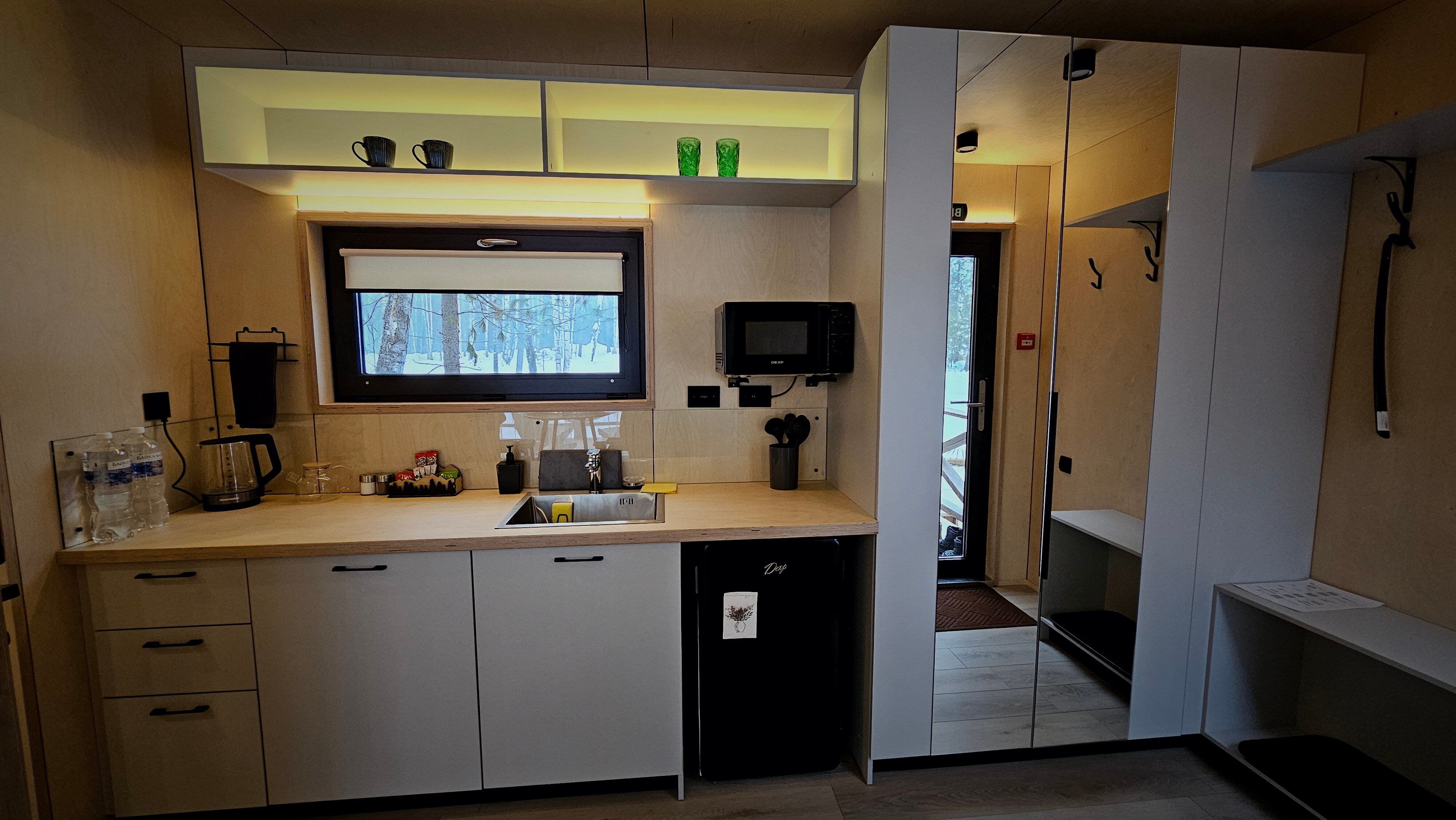 Фото Снежные Гуси