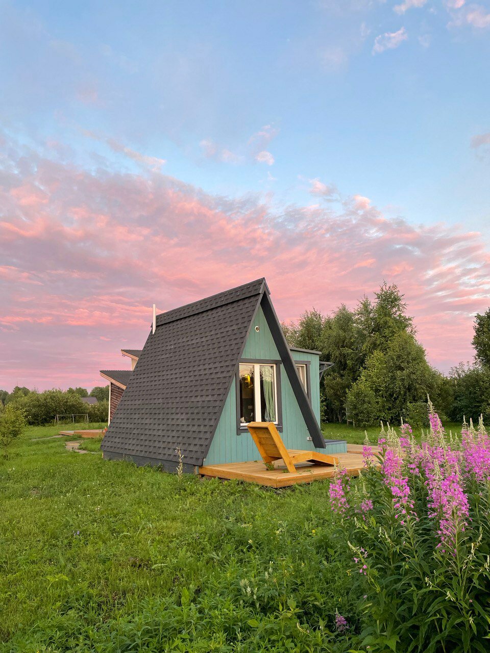 Фото Ракита