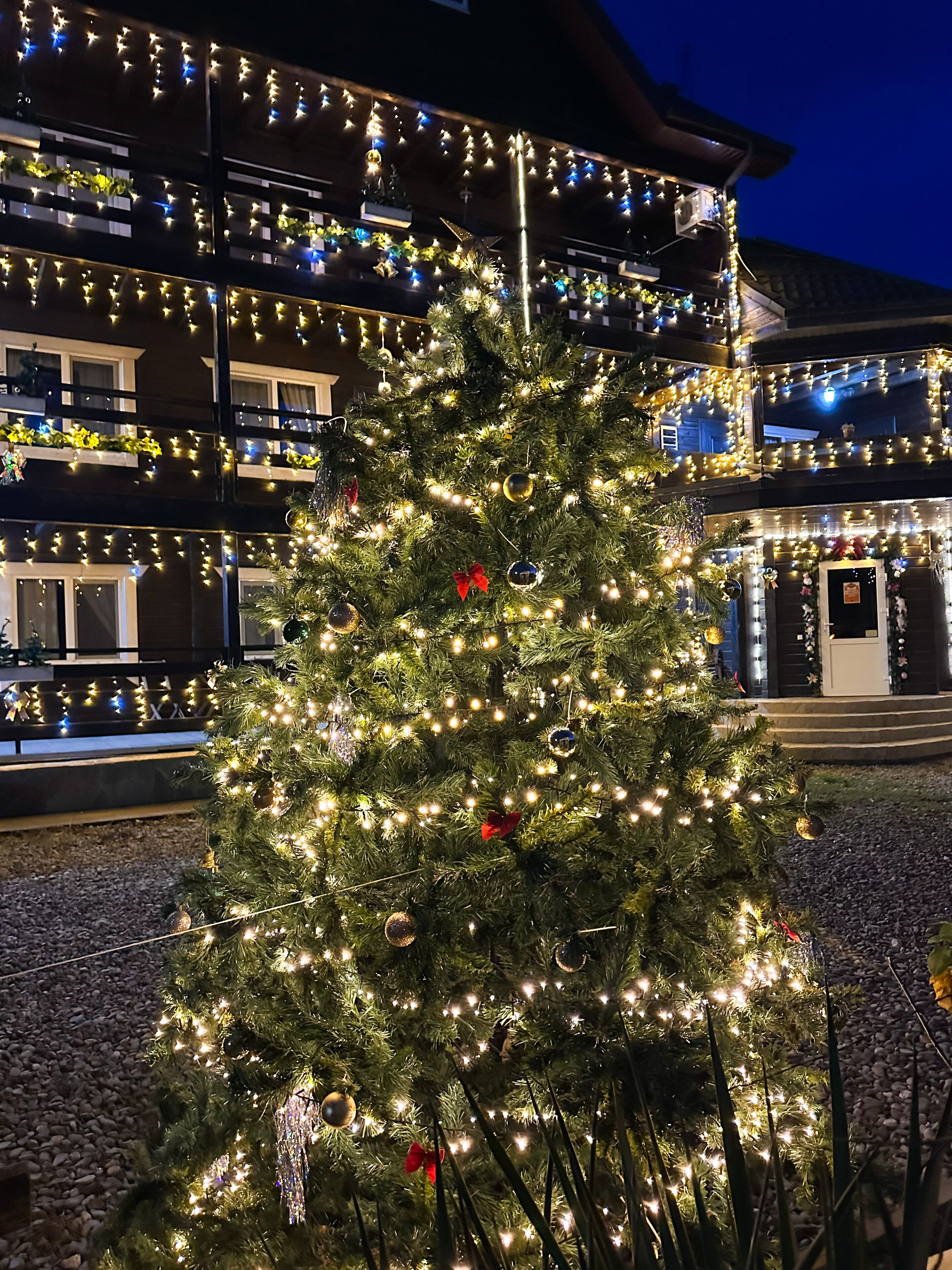 Фото Благодать