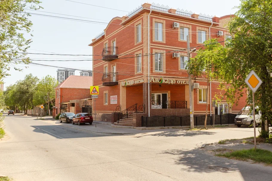 Фото Авокадо