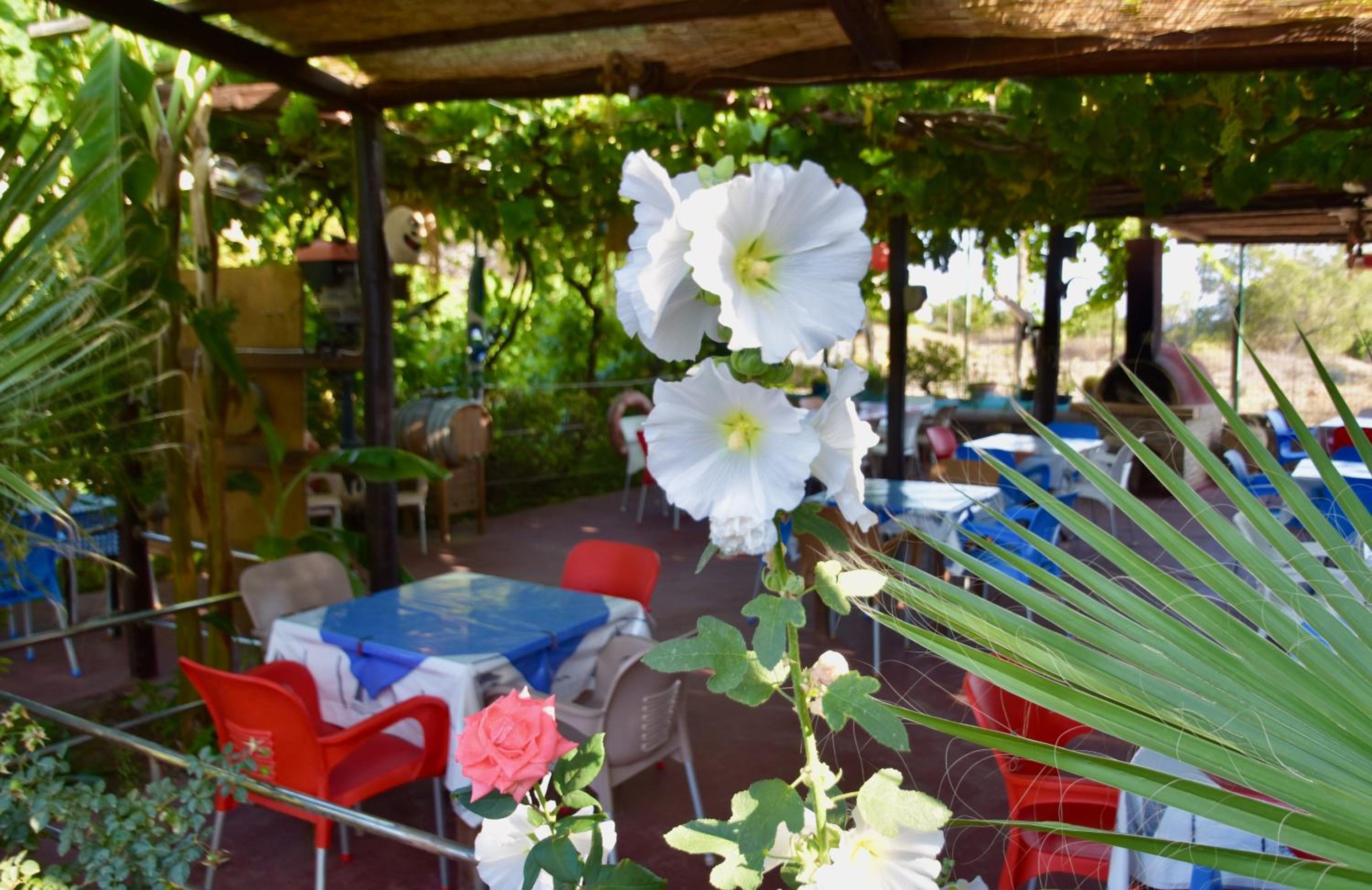 Фото Nitsas Hotel Apartments