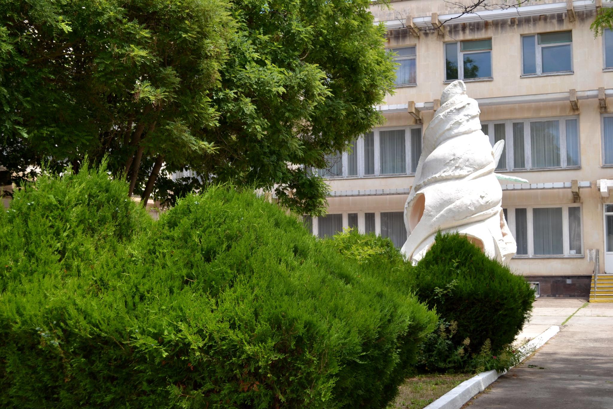 Фото Дружба