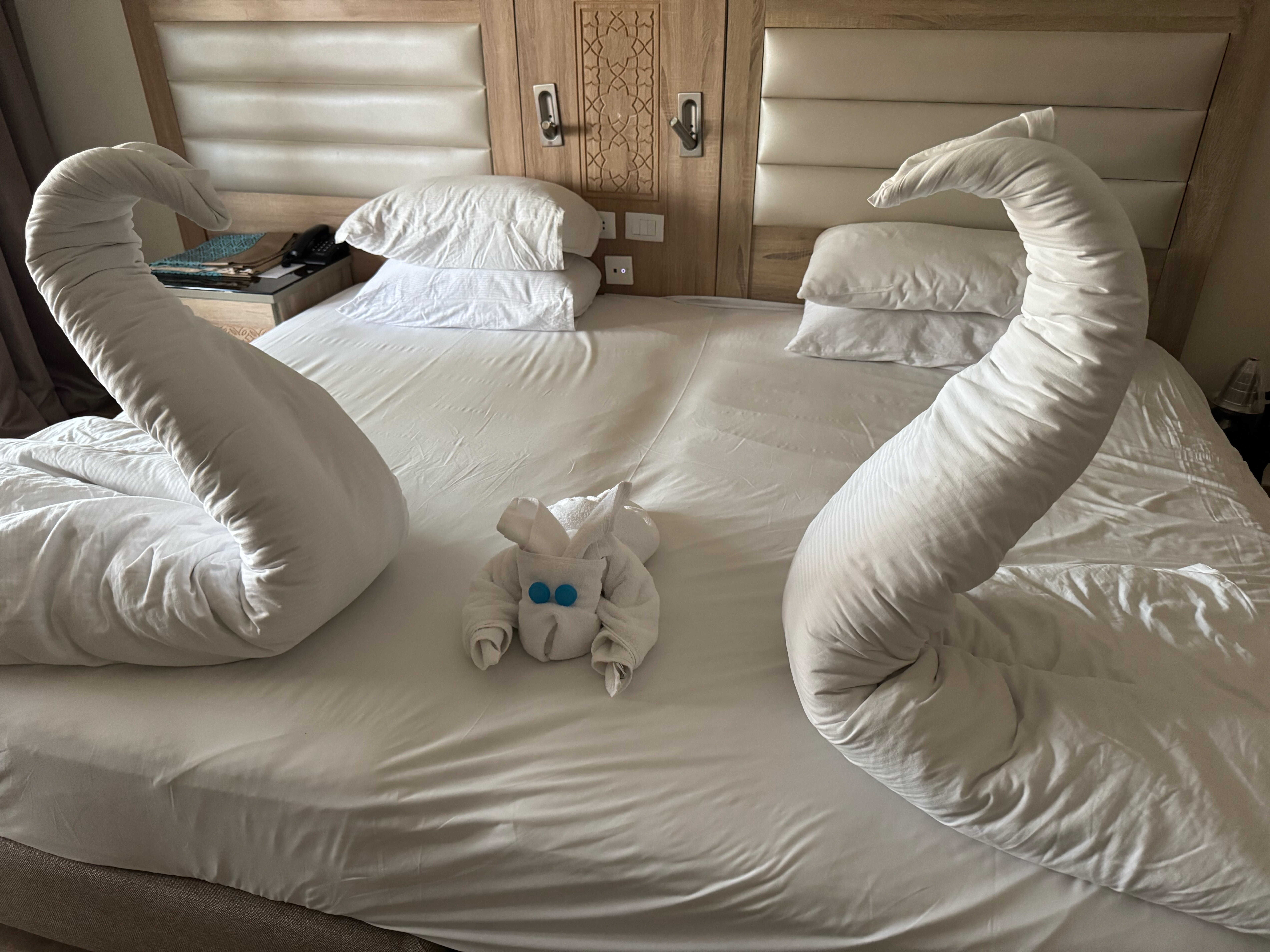 Фото Pickalbatros Aqua Blu Resort