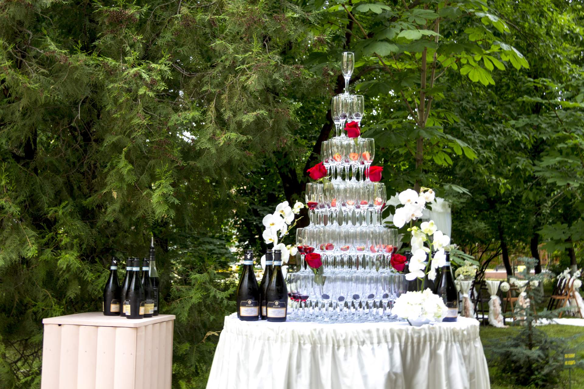 Фото Жемчужина