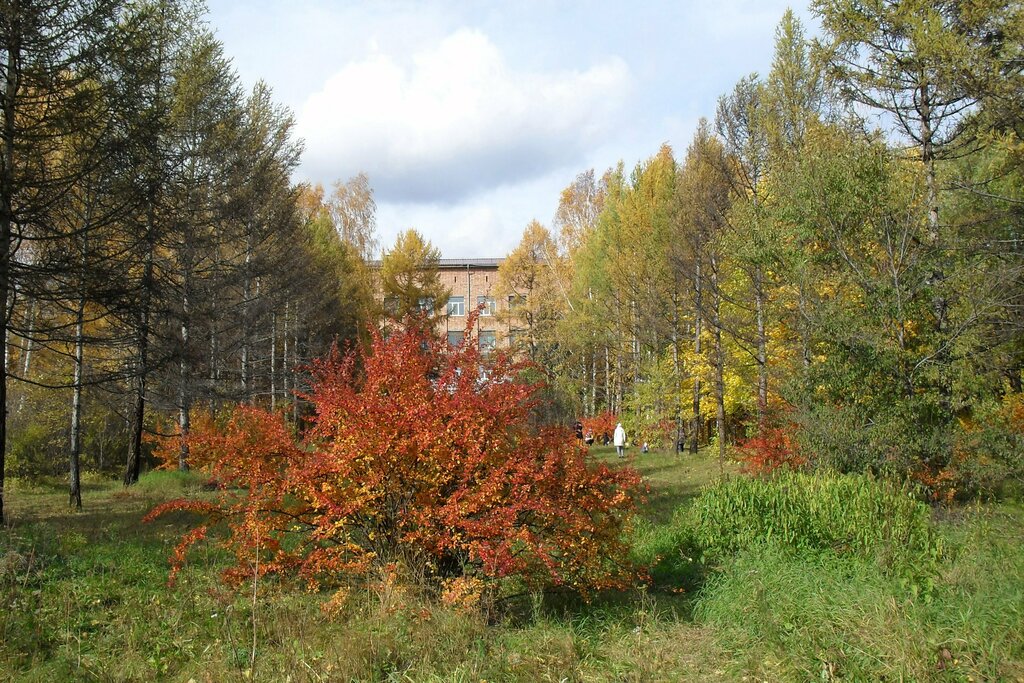 Museum Институт леса имени В. Н. Сукачёва Сибирского отделения РАН, дендрарий, Krasnoyarsk, photo