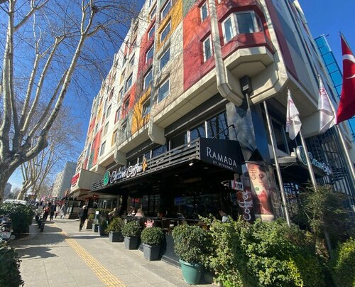 Cotton Coffee, kafe, İstanbul, Fatih, Molla Gürani Mah., Molla