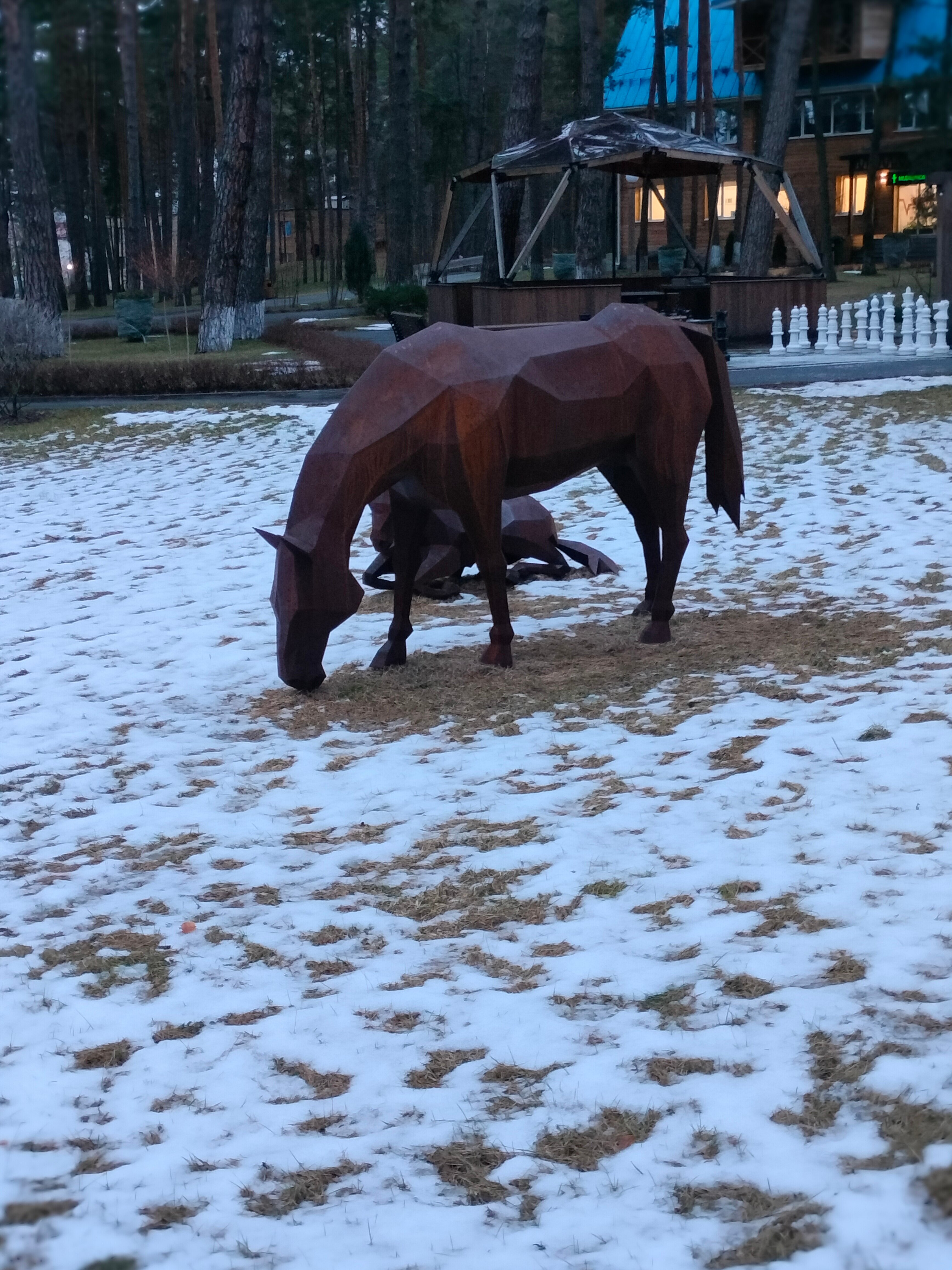Фото Лесная опушка