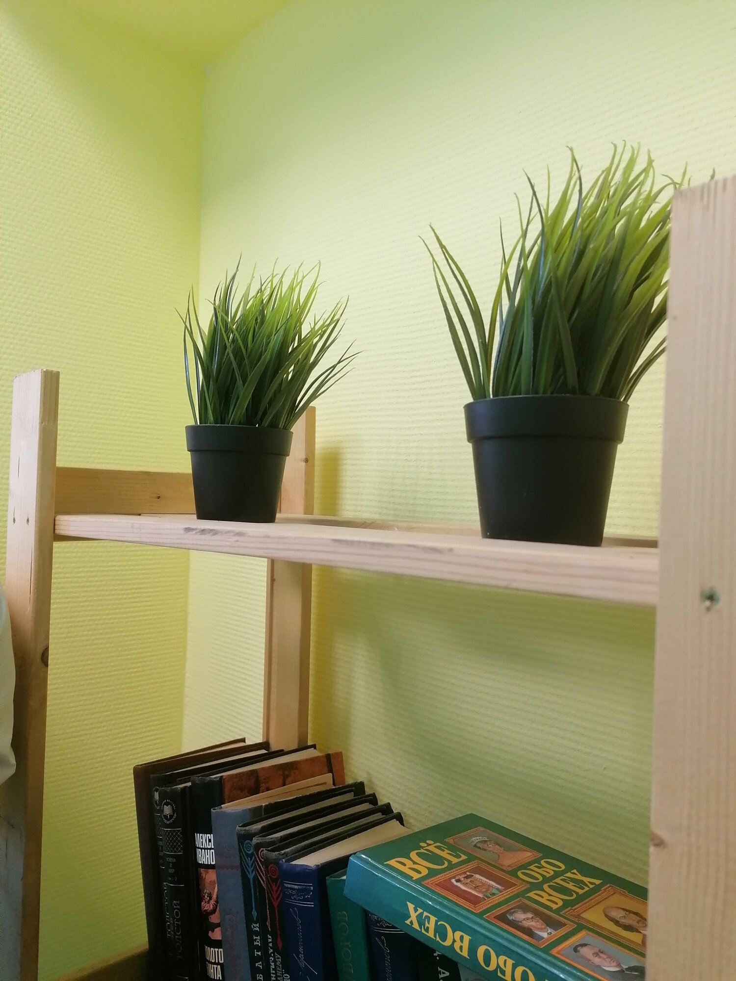 Фото Радуга