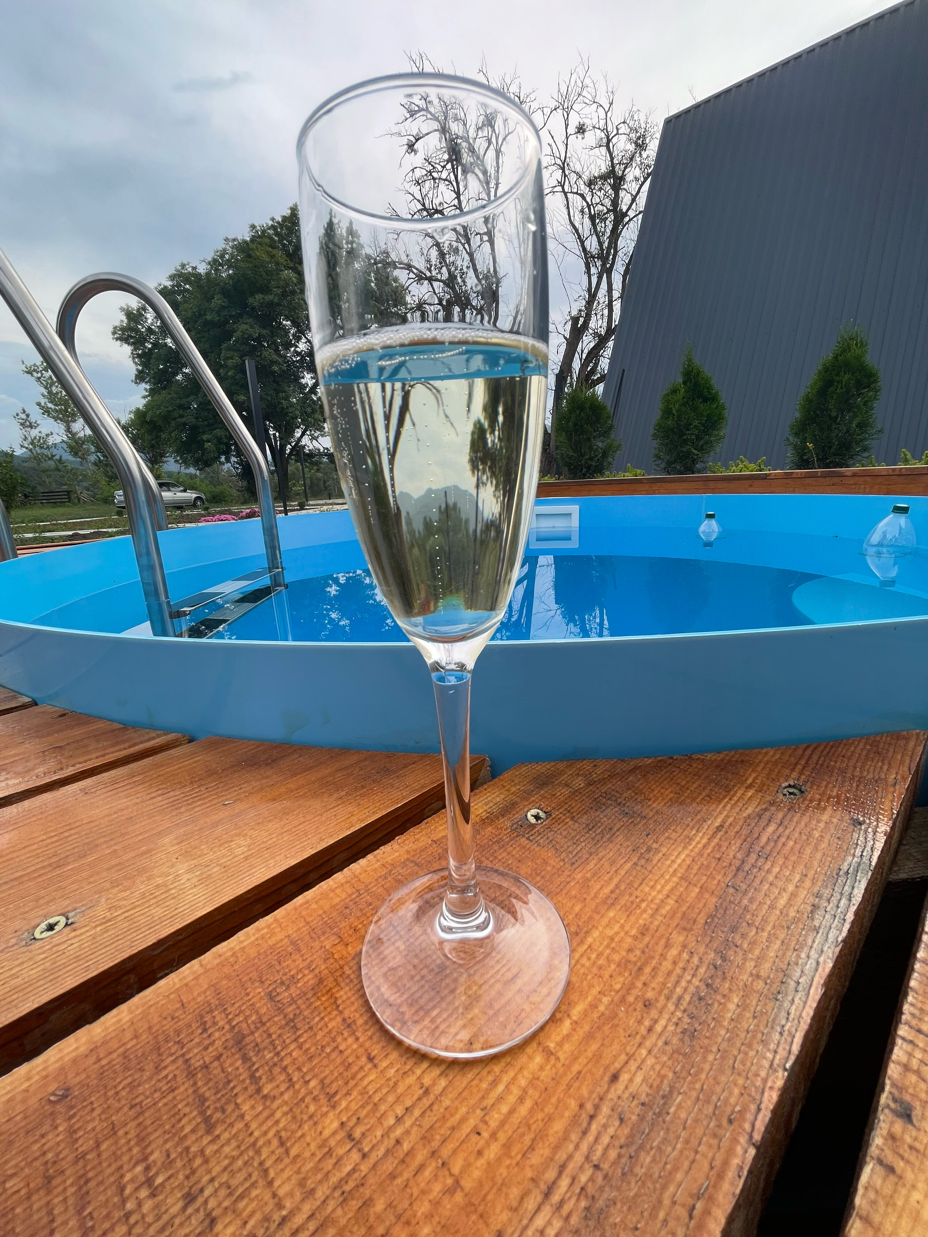 Фото Feshin Forest