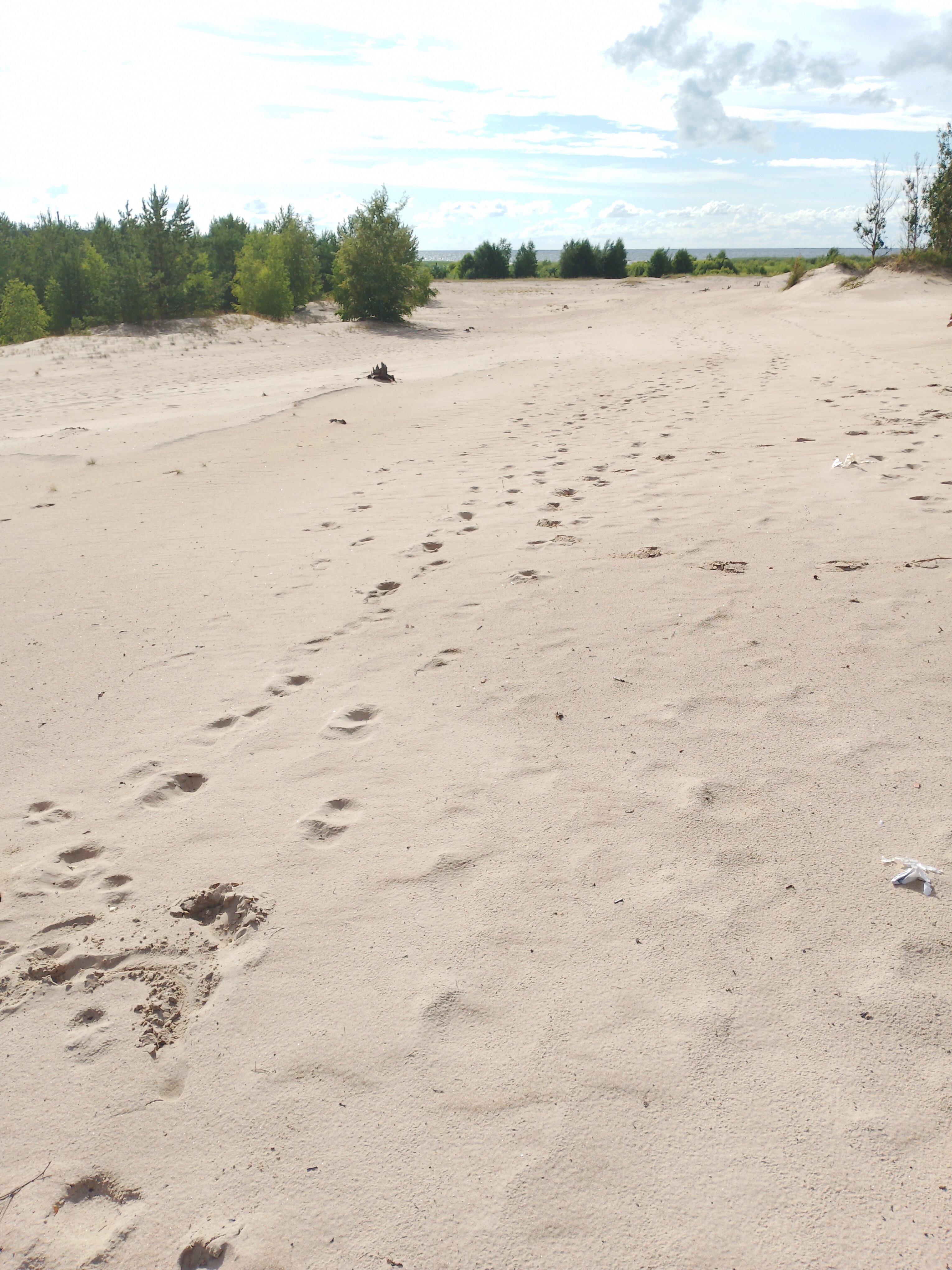 Фото Чудохутор