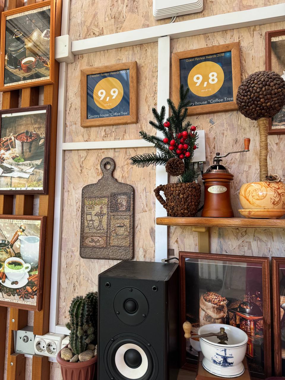 Фото Кофейное дерево