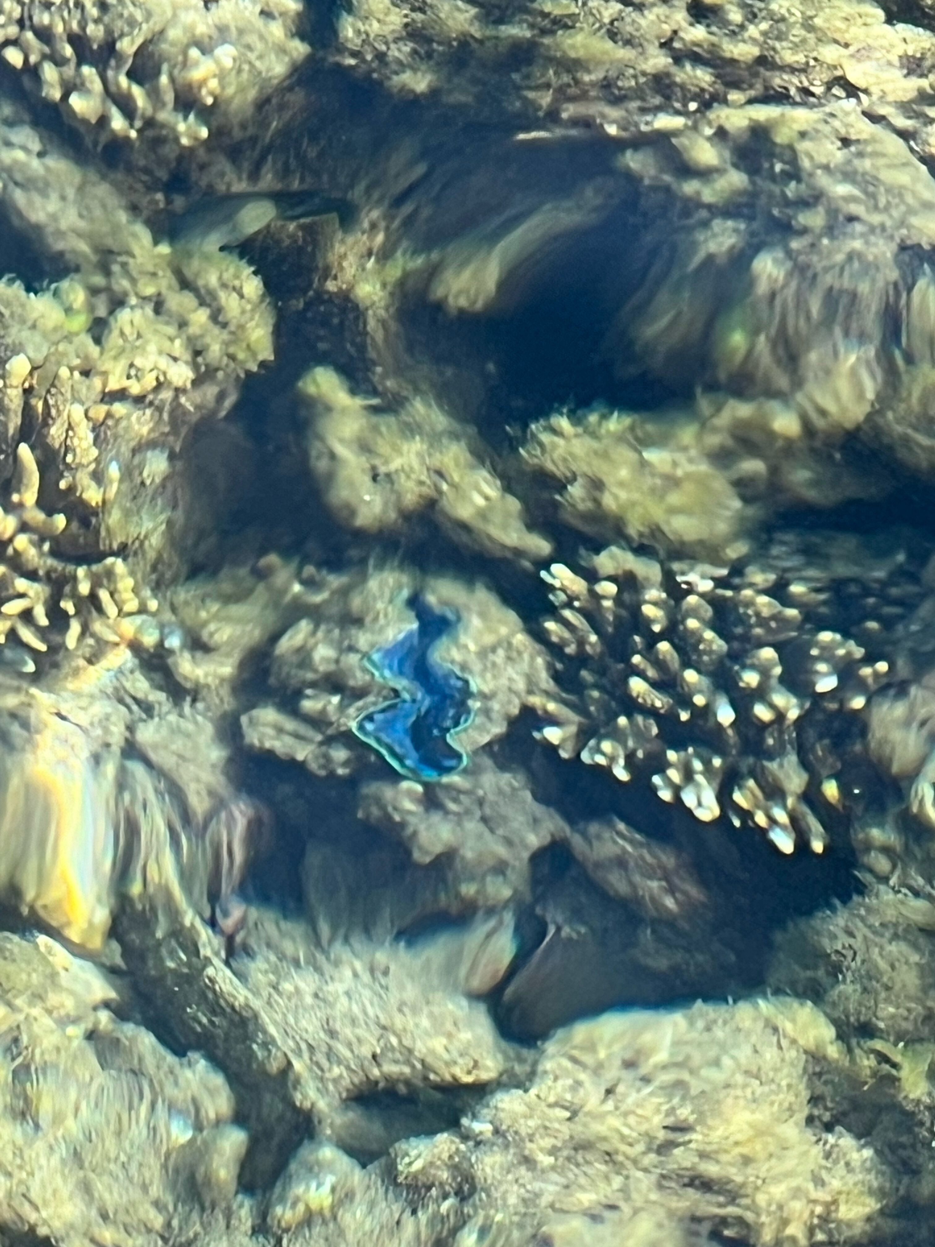 Фото 43410495811