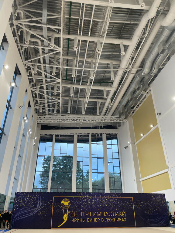 Фото Дворец Ирины Винер