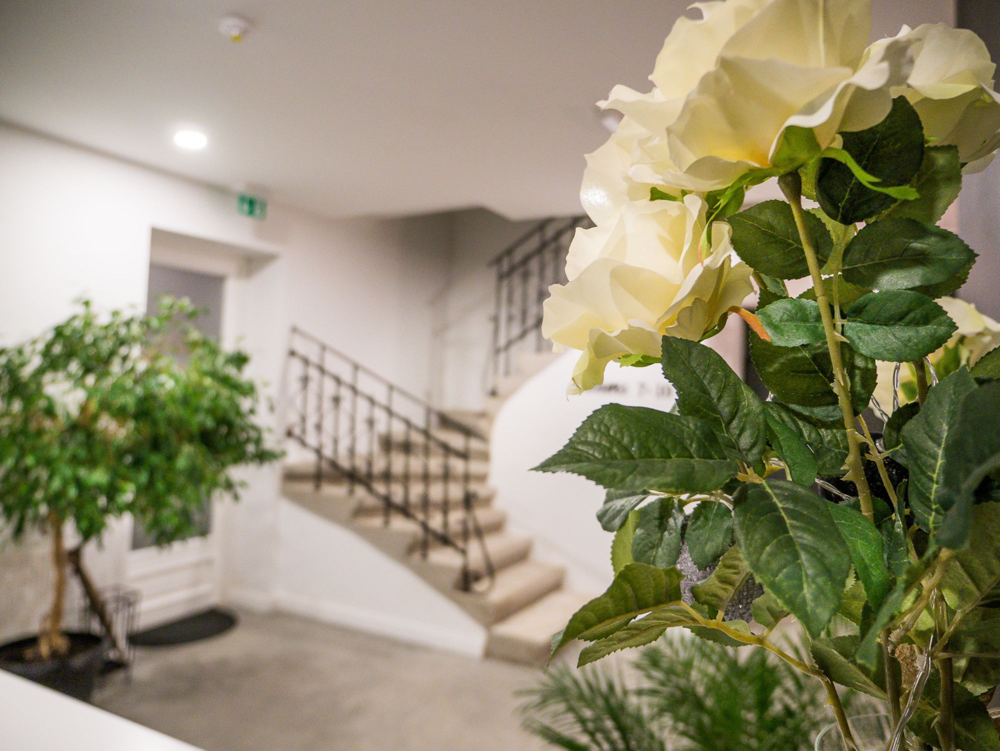 Фото Boutique B&B Casablanca