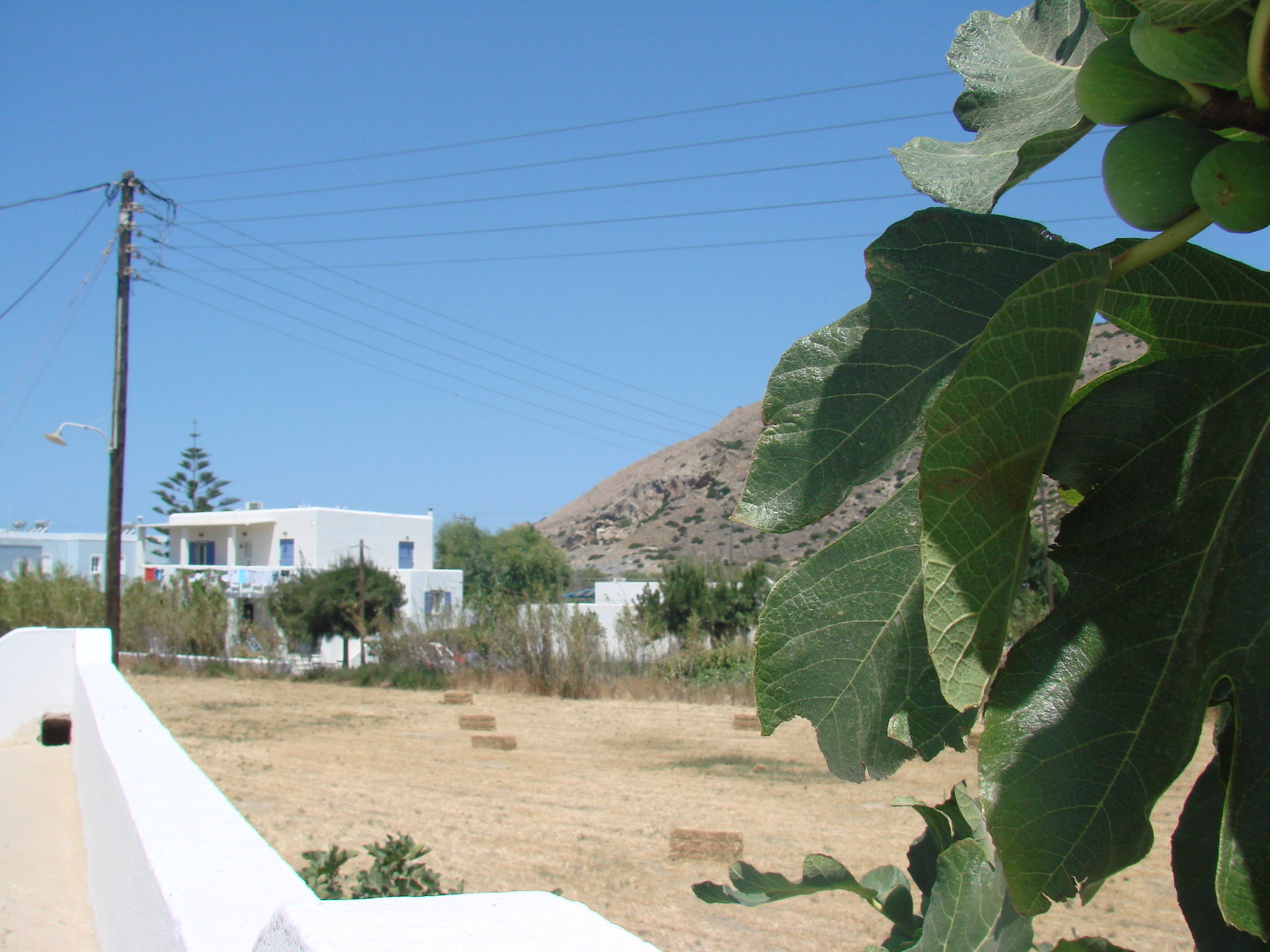 Фото Evi Evan Hotel