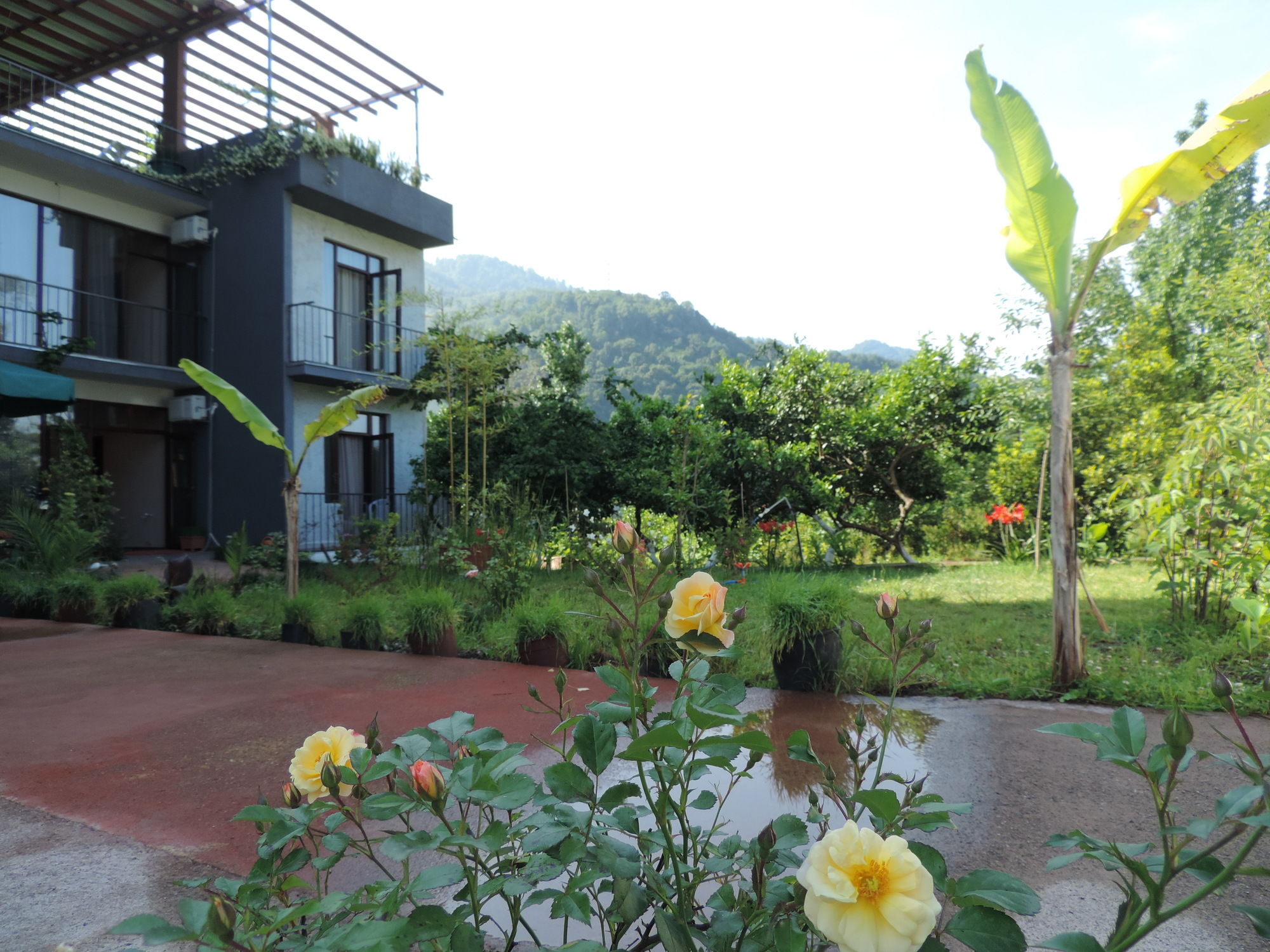 Фото Villa Del Mar