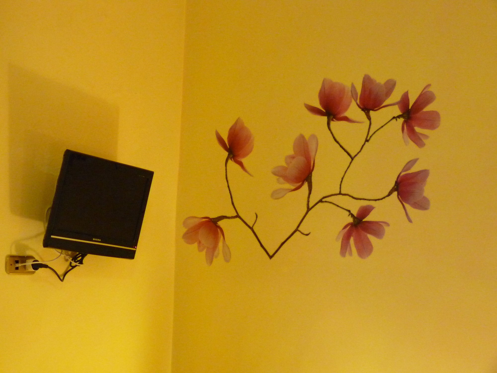 Фото Daplace - Arena House