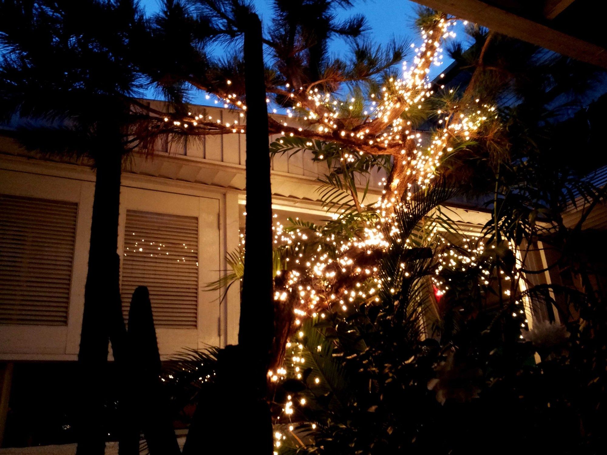 Фото Vision House