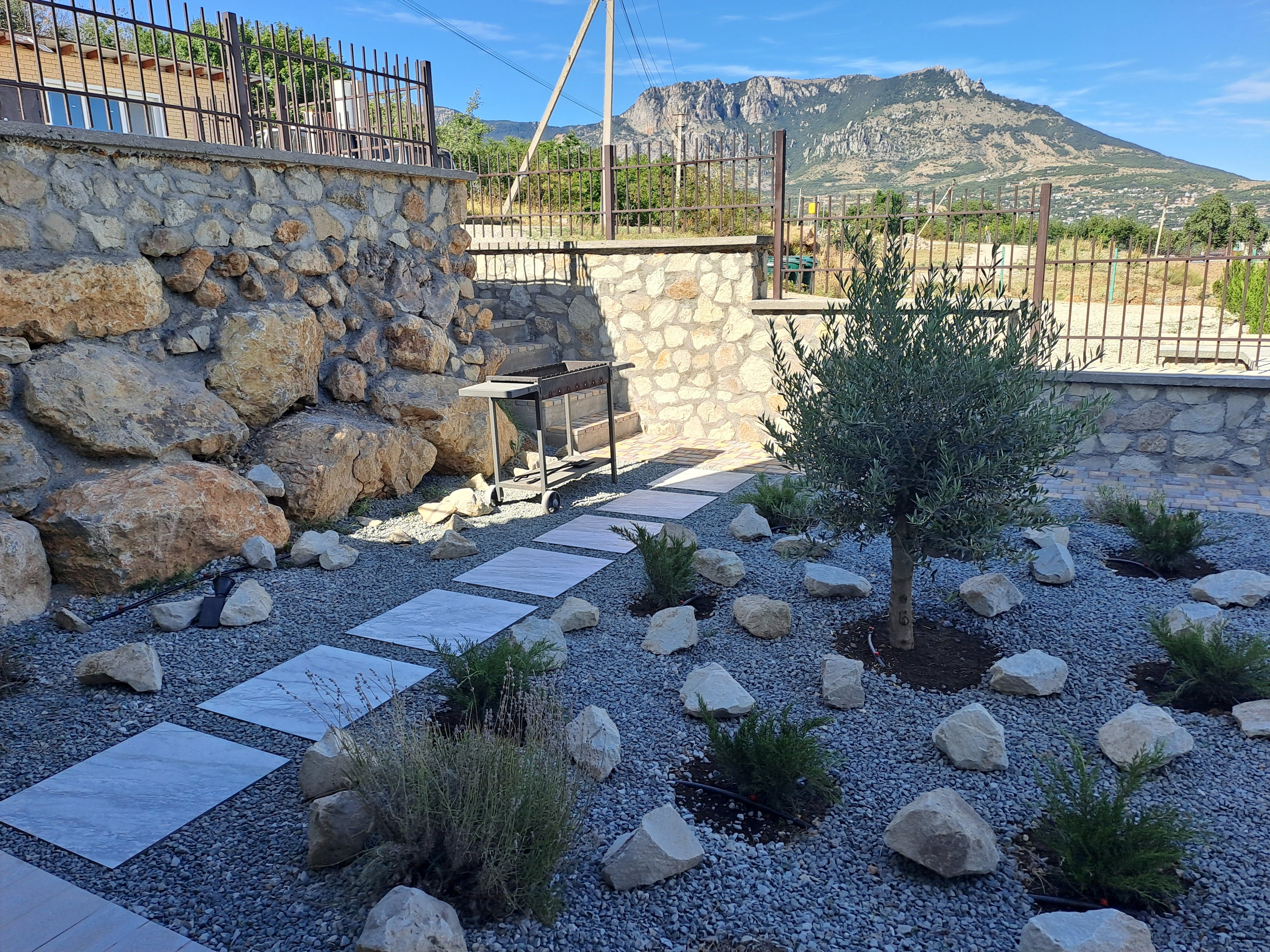 Фото Горная лаванда