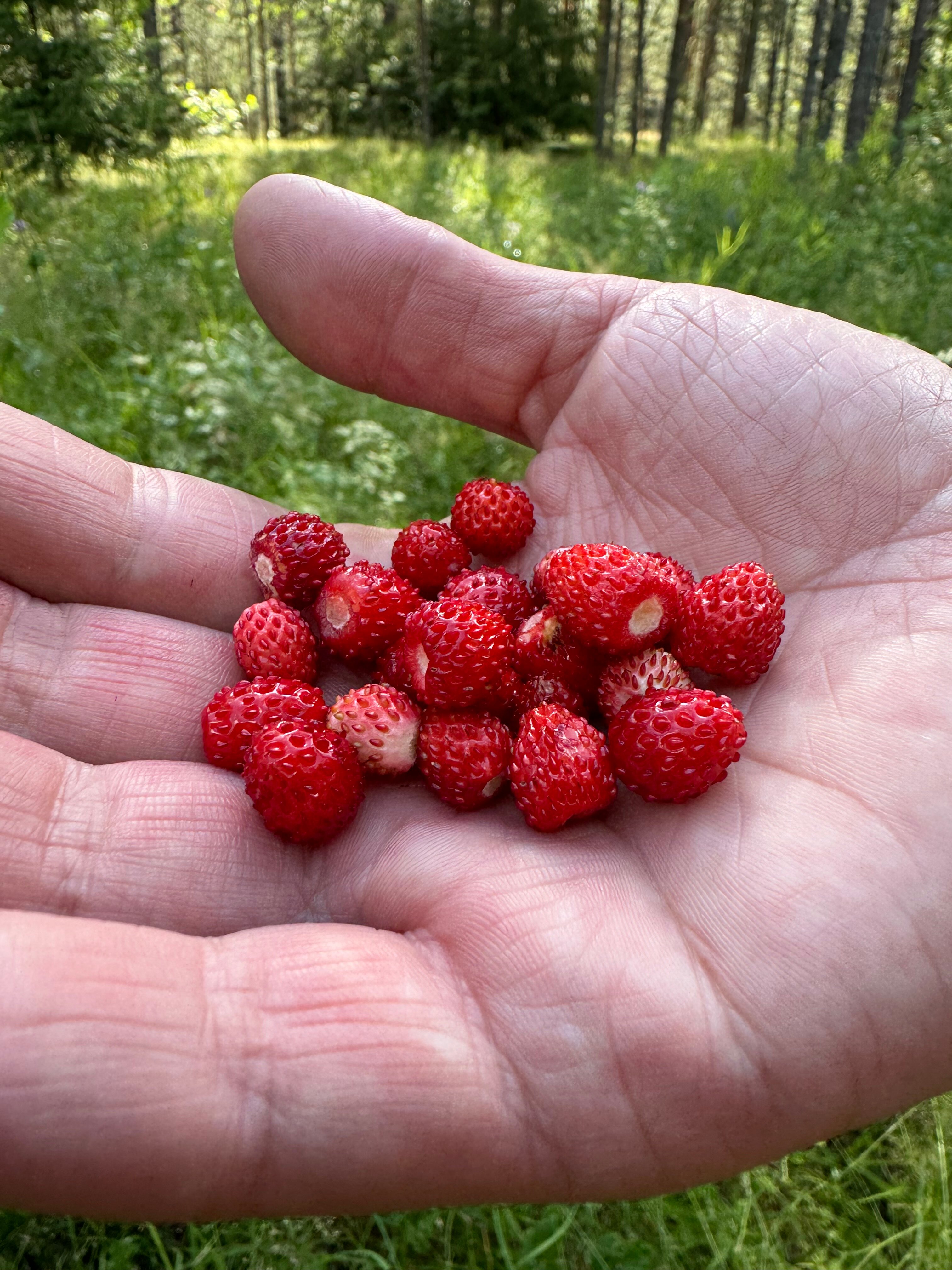 Фото Новинка