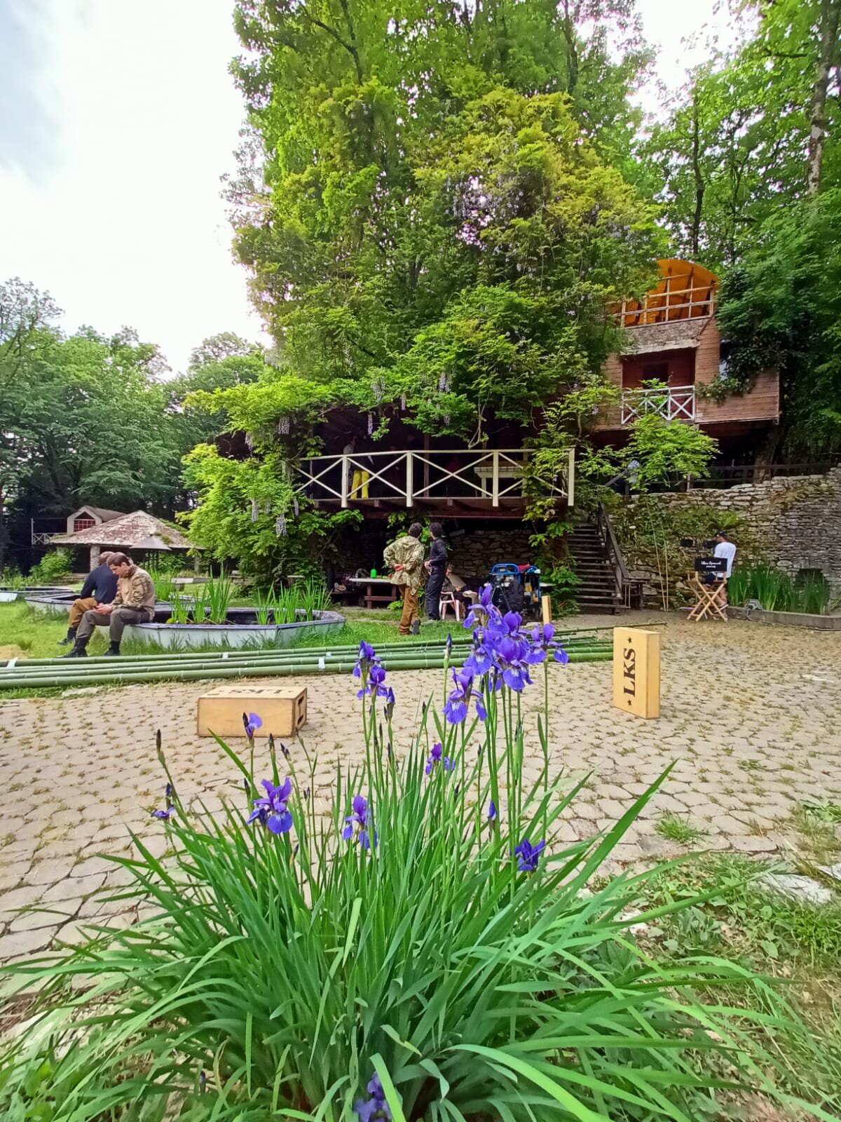 Фото Хоста Рика