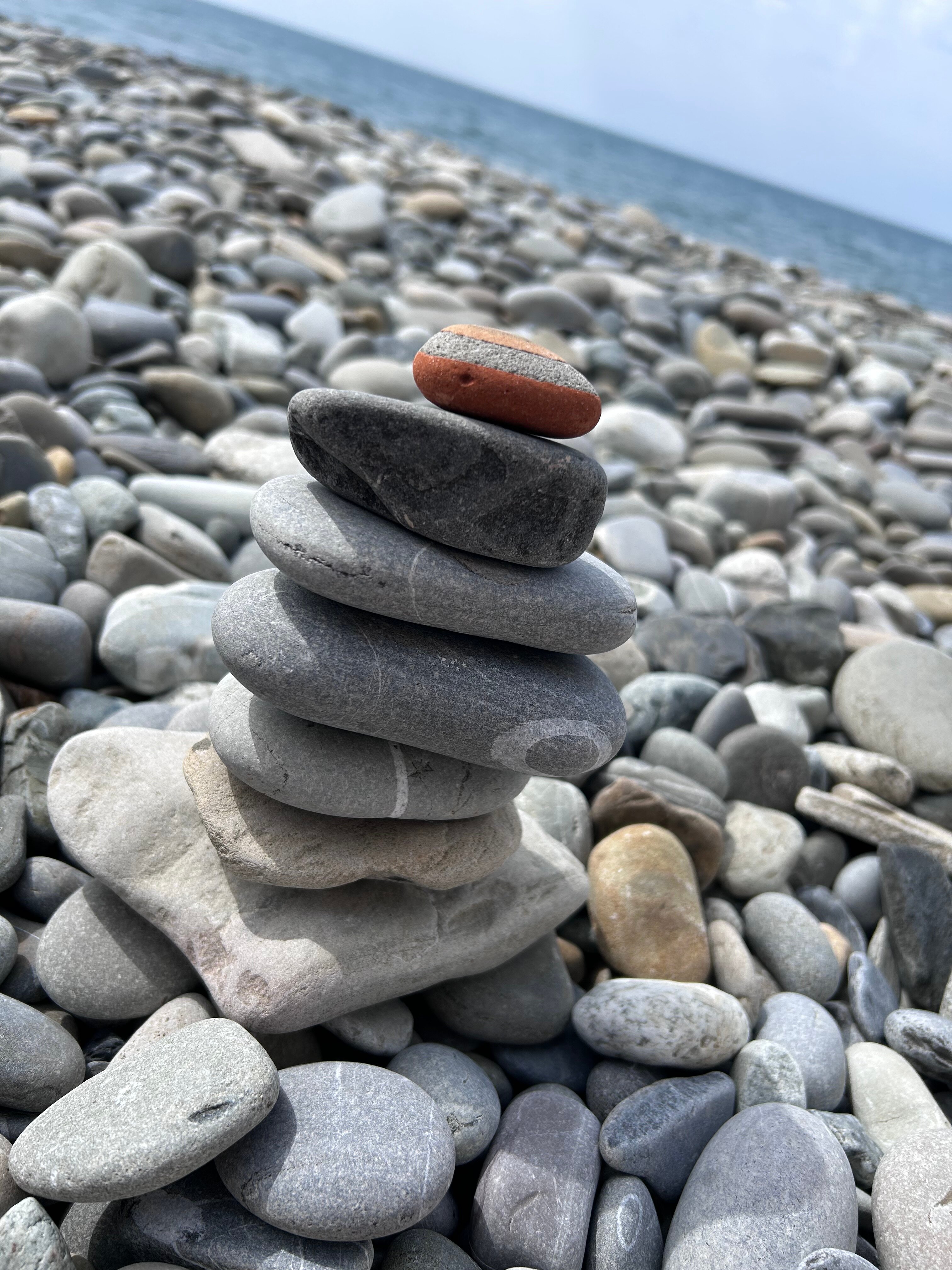 Фото ЛооБич