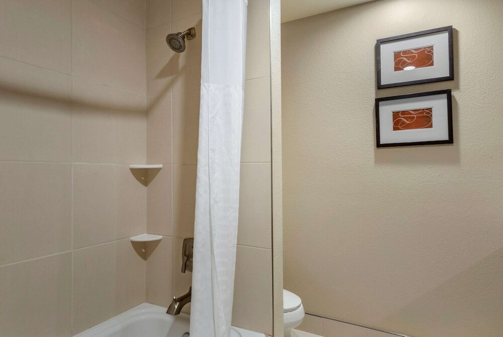 Фото Comfort Suites University