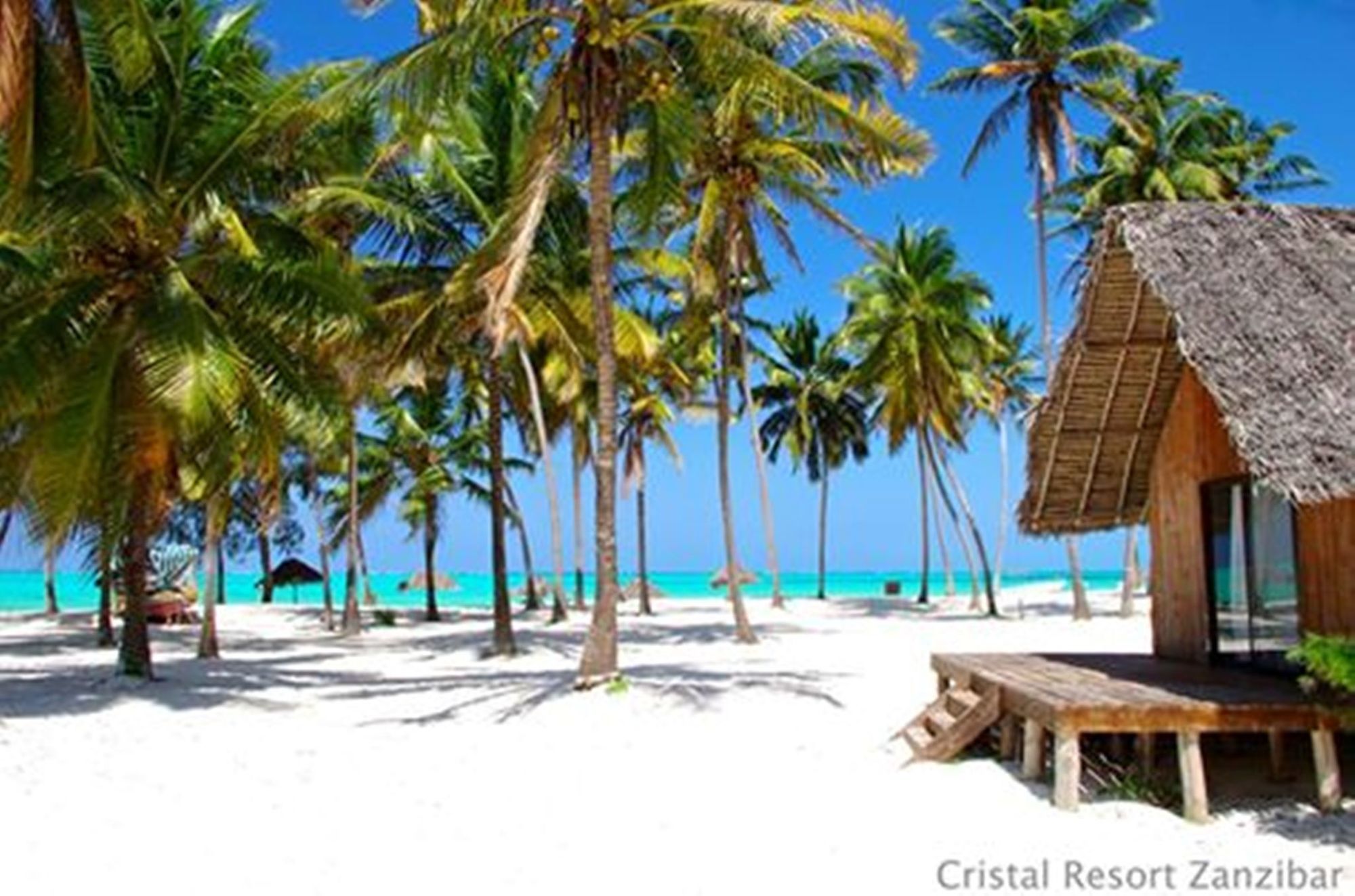 Фото Cristal Resort