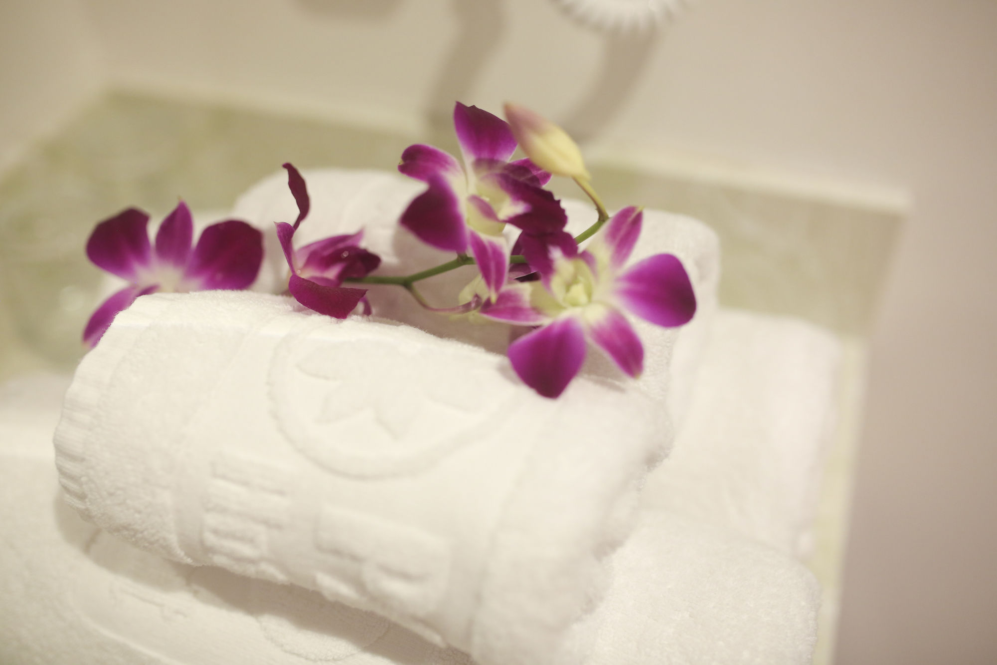 Фото Palazzo Luxury Hotel