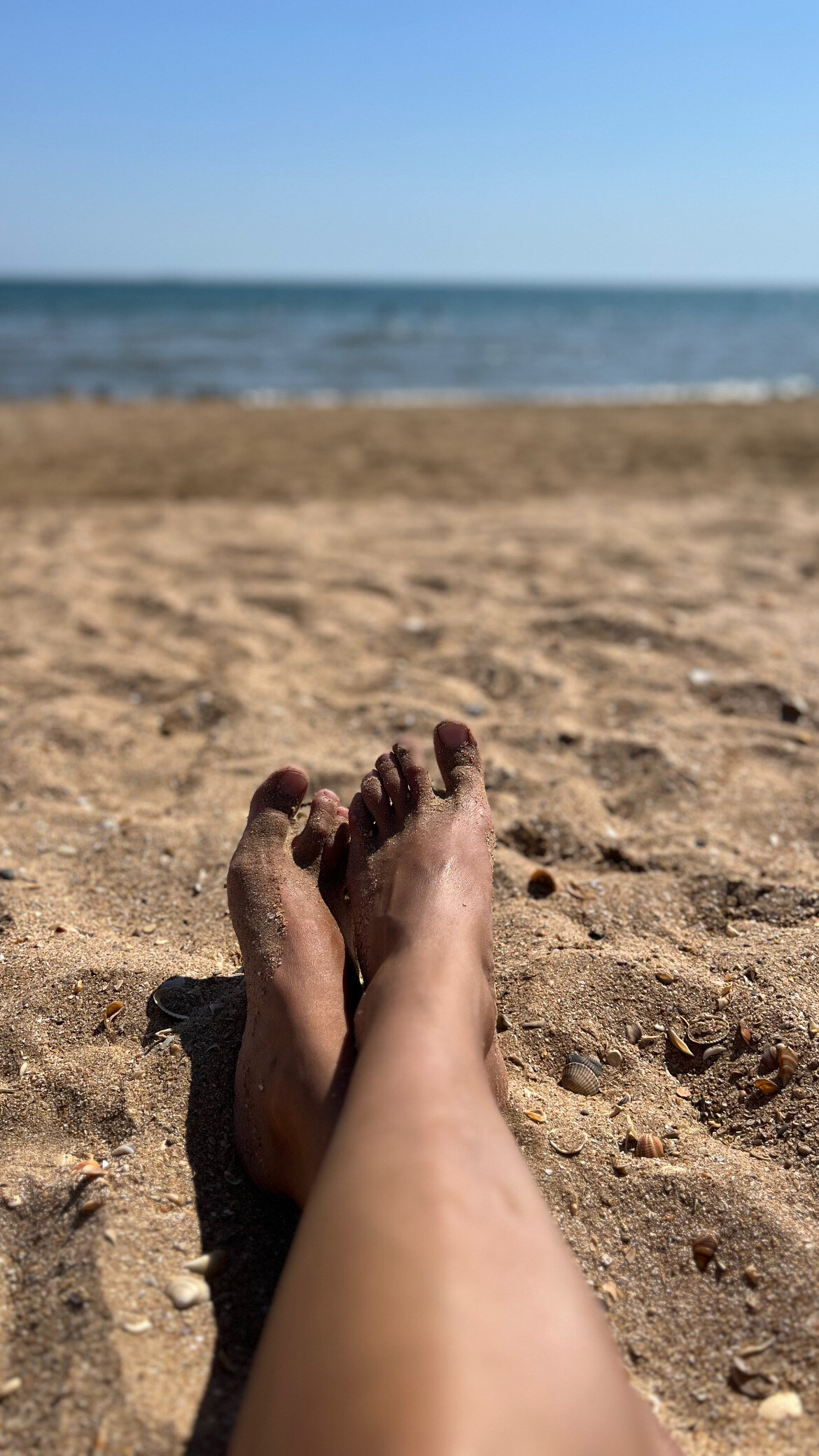 Фото Персик