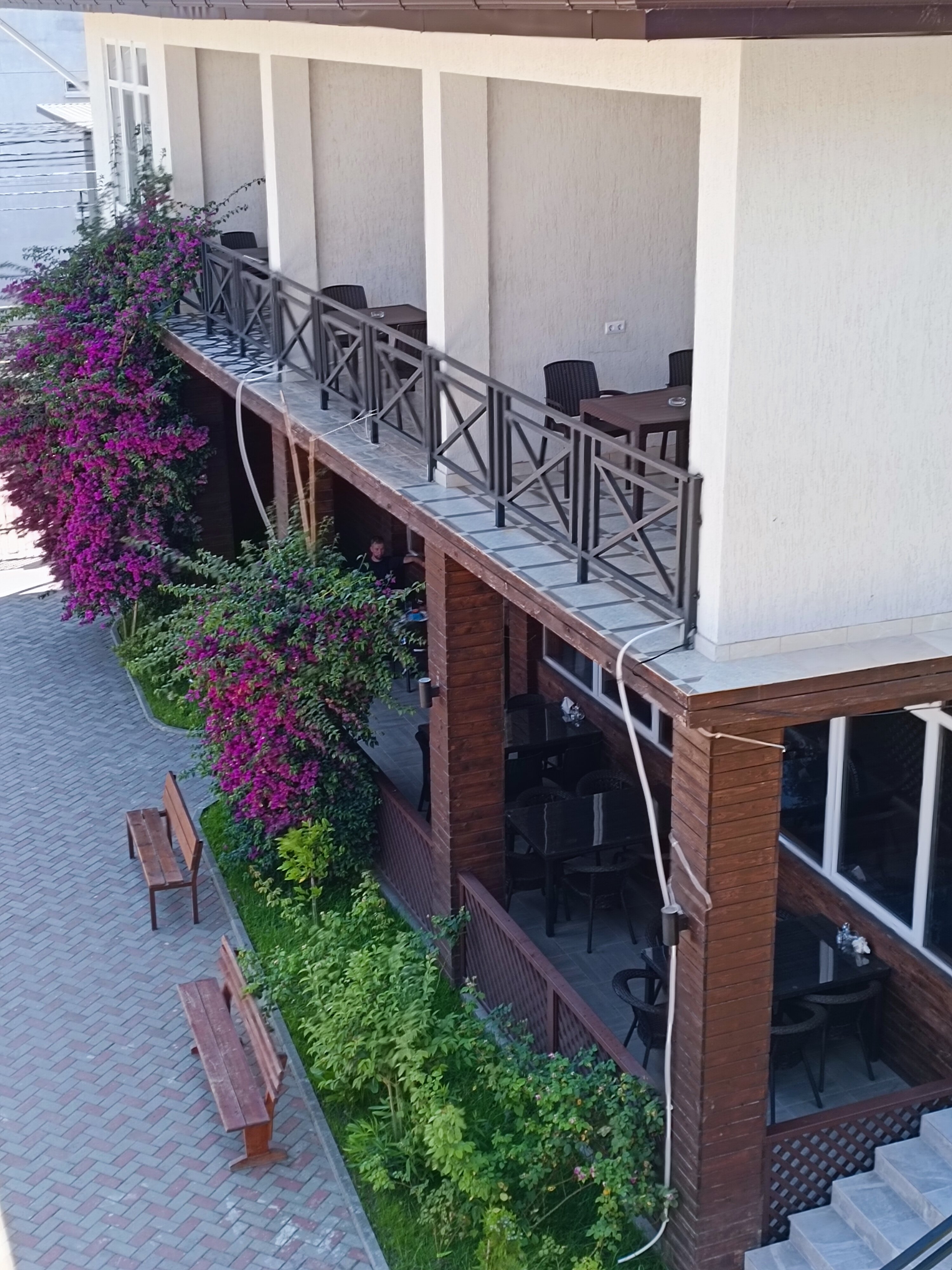 Фото Бугенвиллея