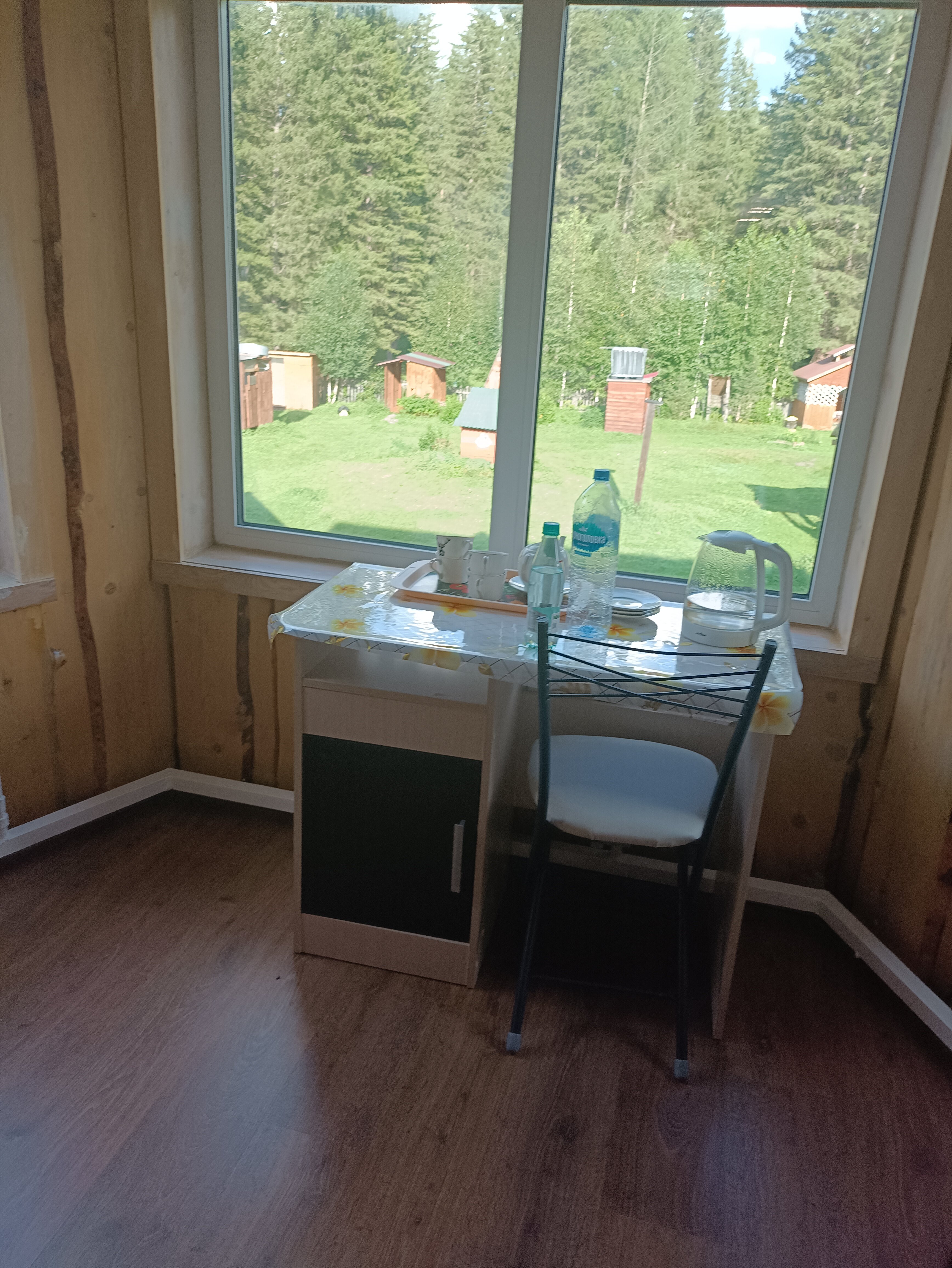 Фото Еловая опушка