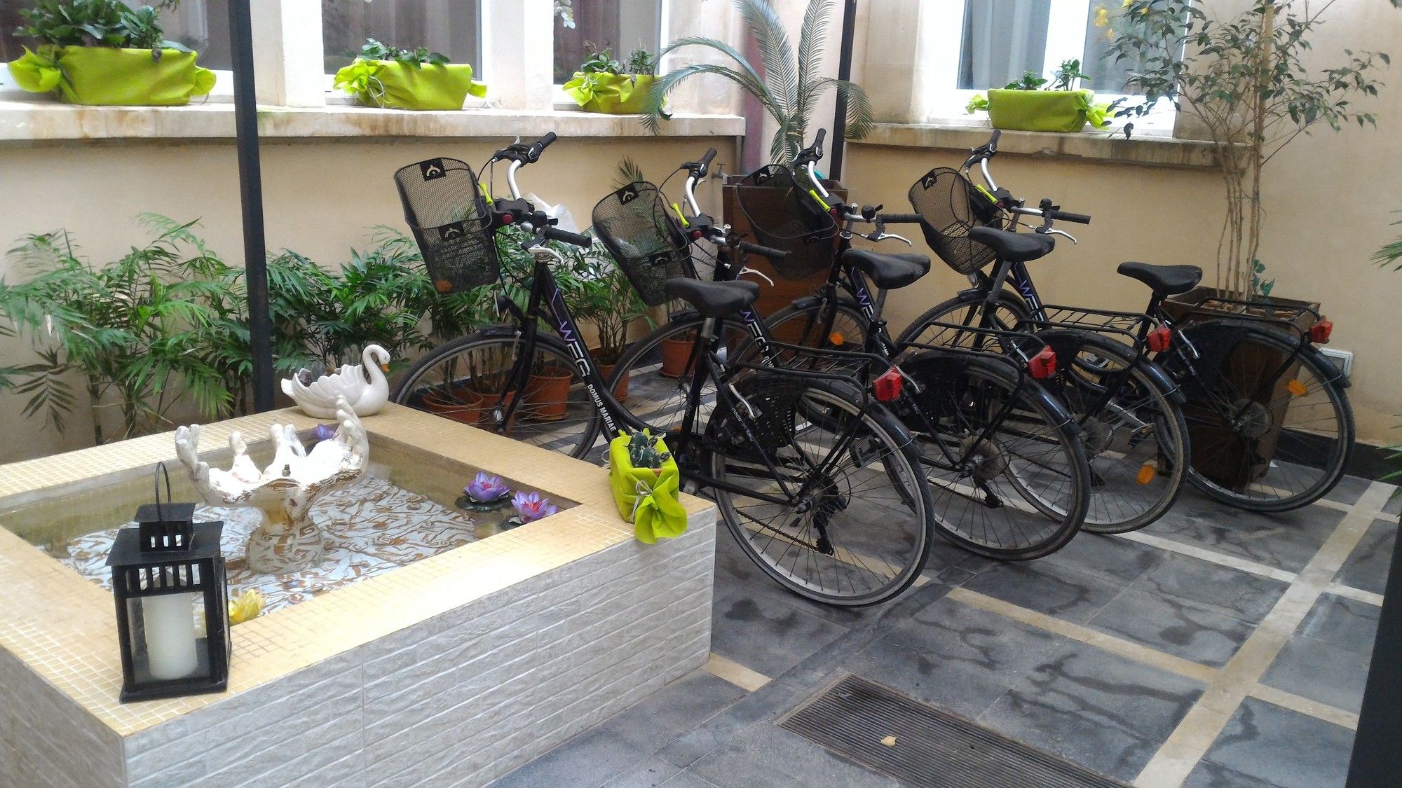 Фото Domus Mariae Benessere