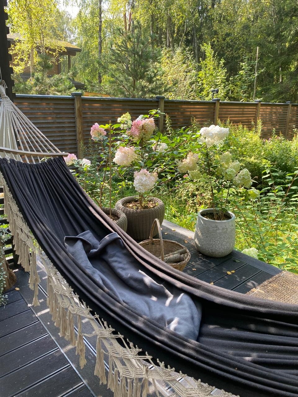 Фото Солнечные дачи