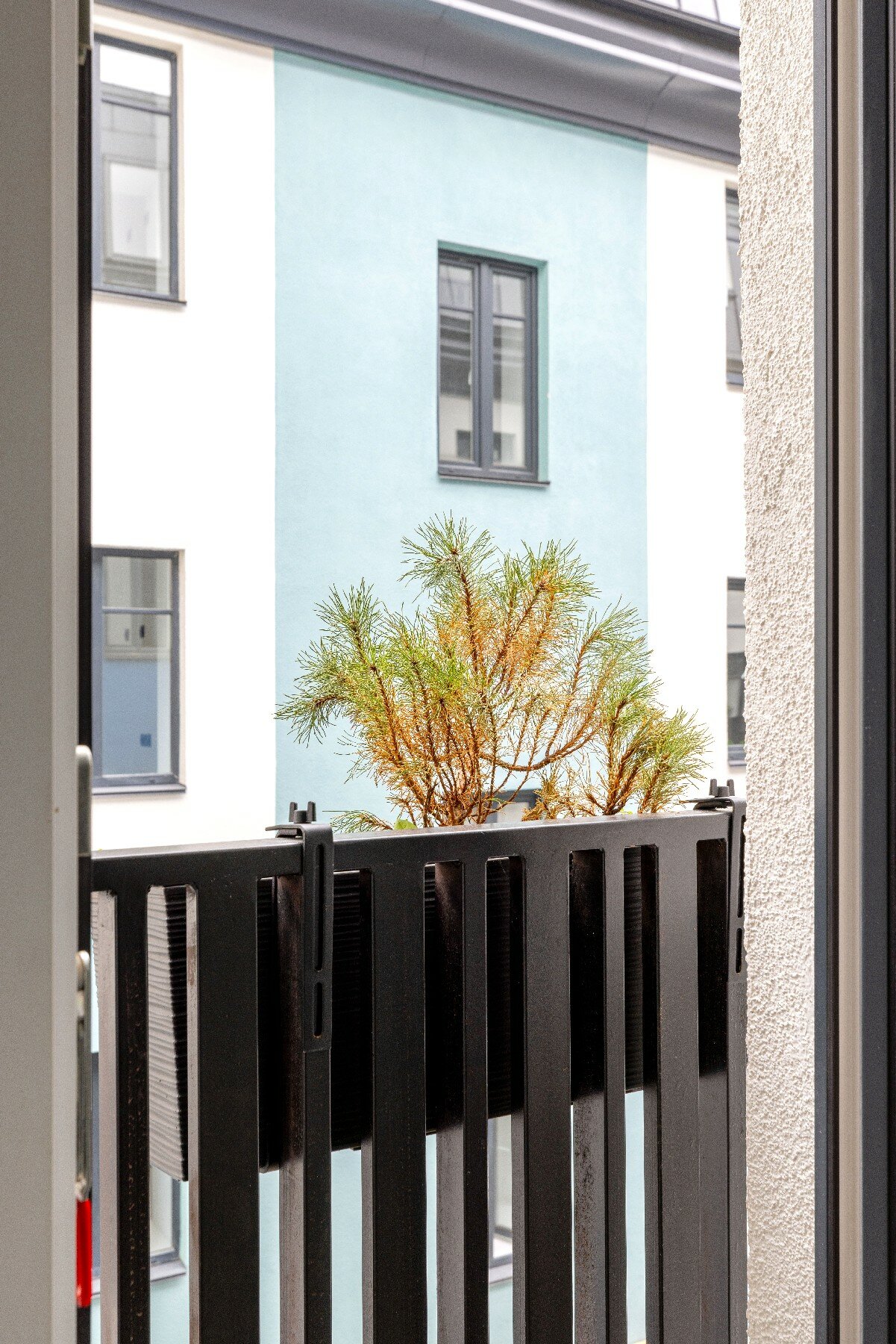 Фото Izzzi. life Line