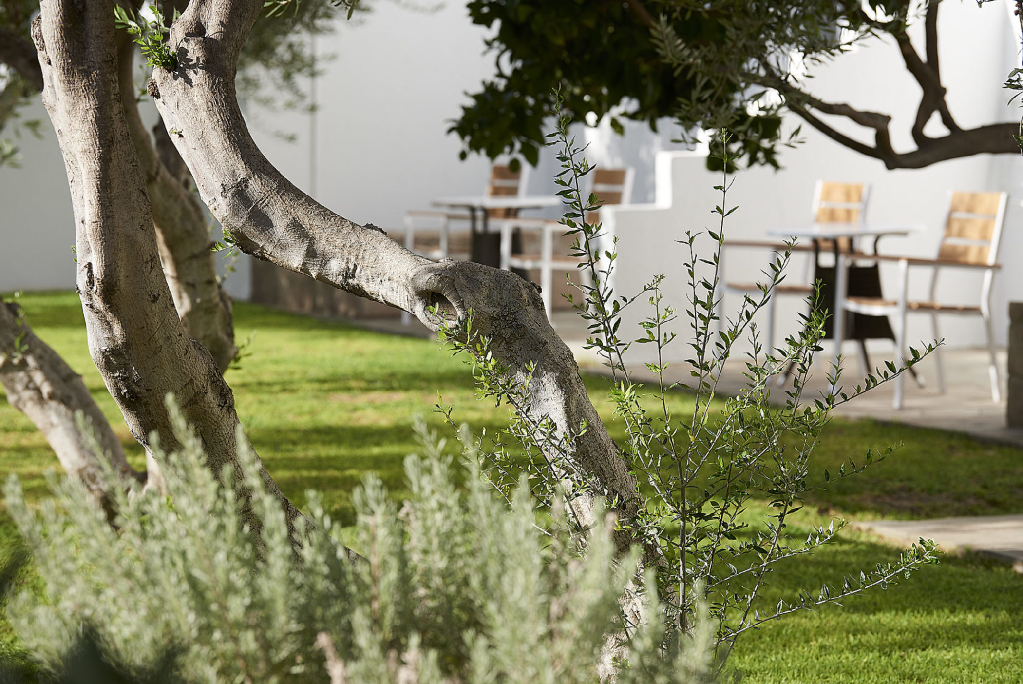 Фото Santa Maria Village Resort & SPA