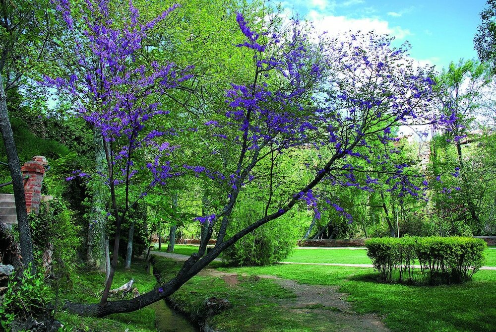 Фото Balneario Sicilia