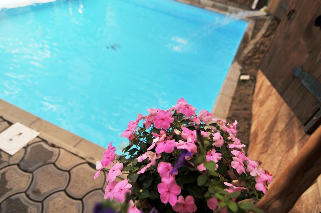 Фото Отель Максимус