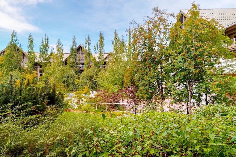 Фото Aspens on Blackcomb