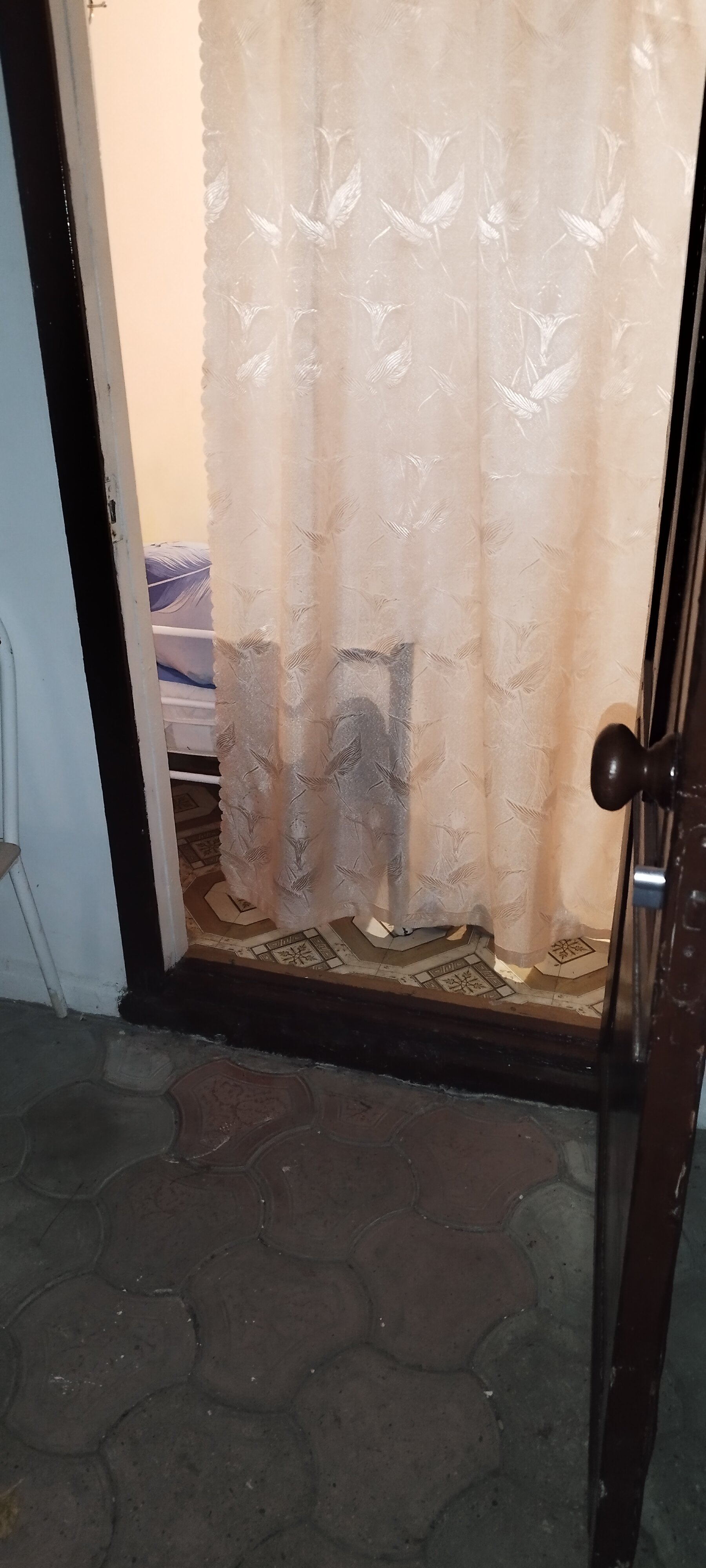 Фото Колосок