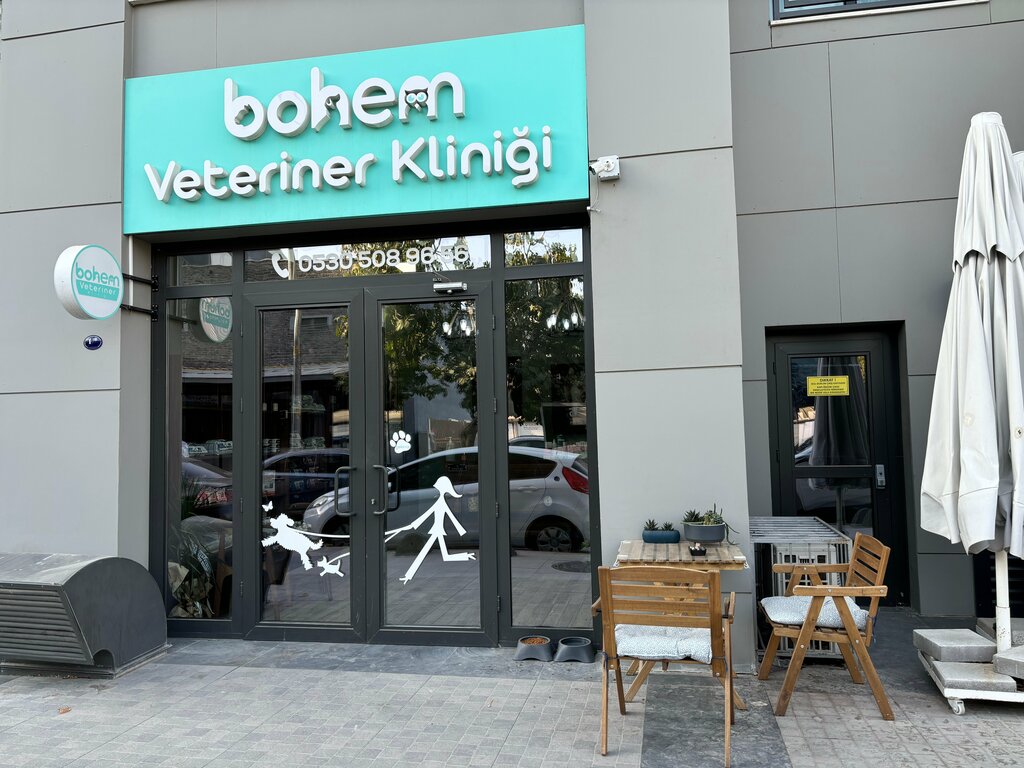 Veterinary clinic Bohem Veterinary Clinic, Izmir, photo